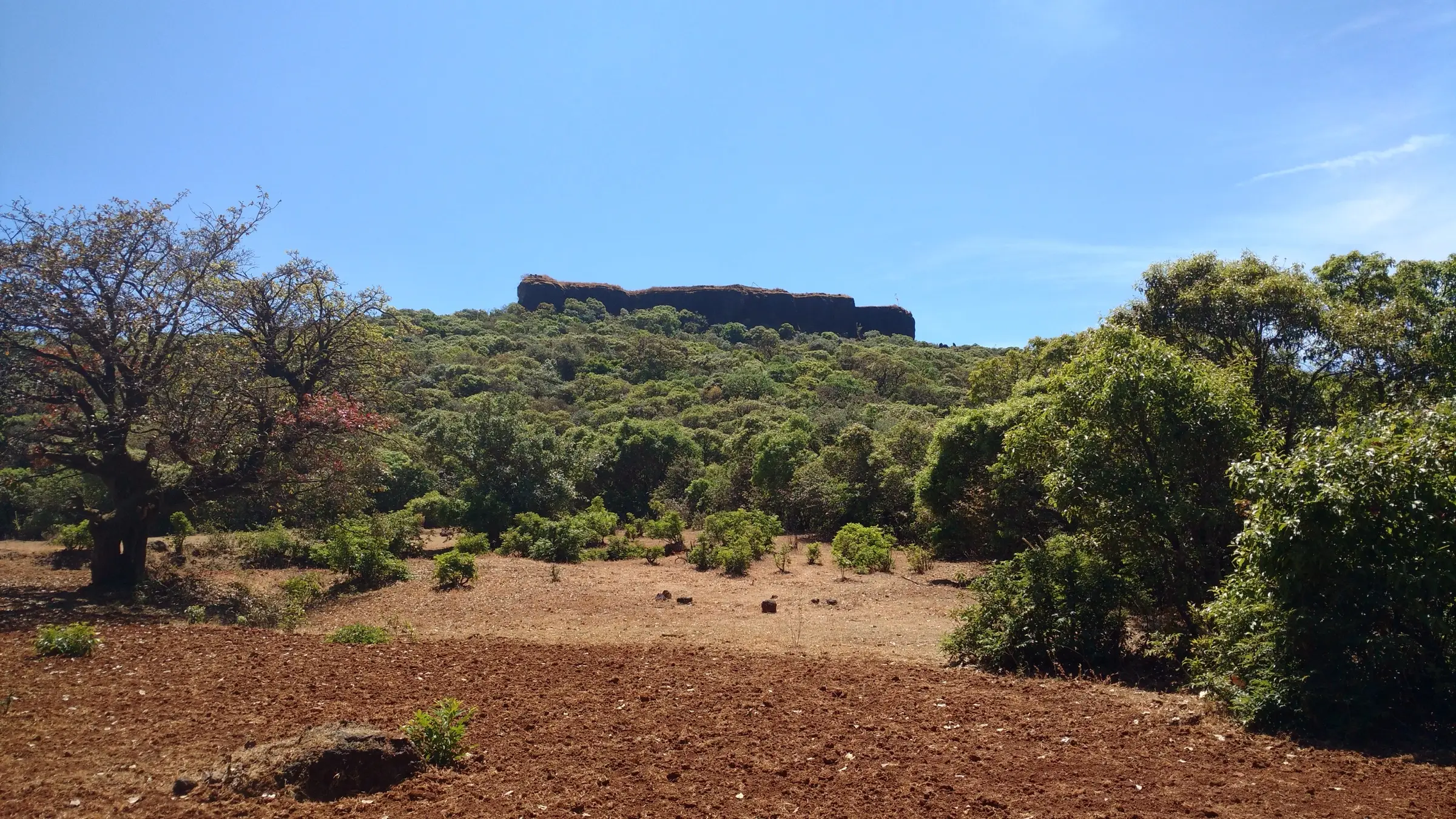 The flat rock summit of Kamalgad fort rising above green scrub forest, with ploughed red earth in the foreground