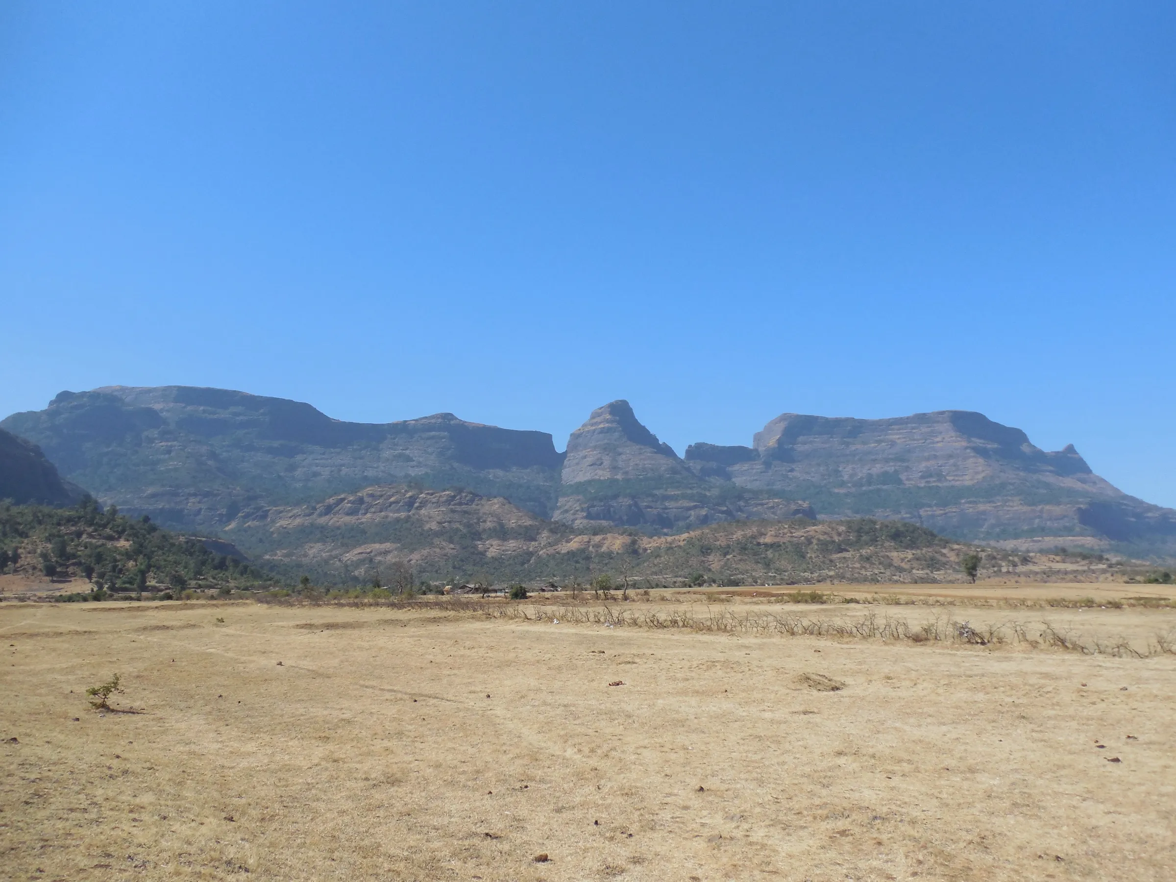 The three flat-topped rock forts of Alang, Madan and Kulang rising above dry fields at Ambewadi under a clear blue sky