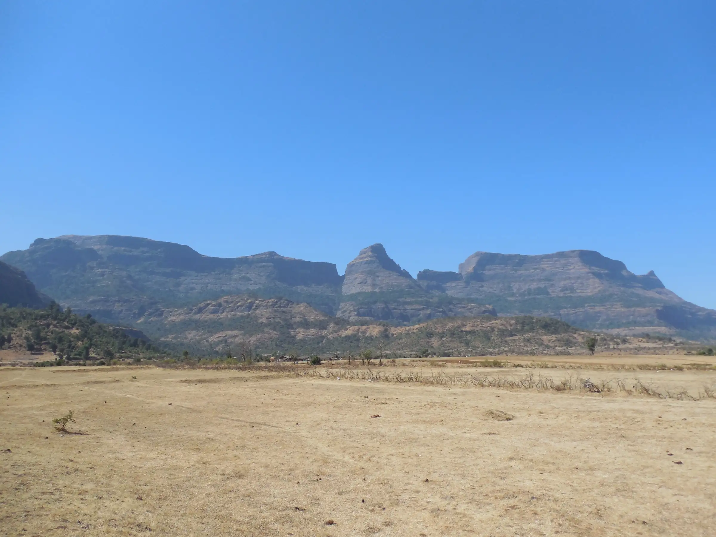 The three flat-topped rock forts of Alang, Madan and Kulang rising above dry fields at Ambewadi under a clear blue sky