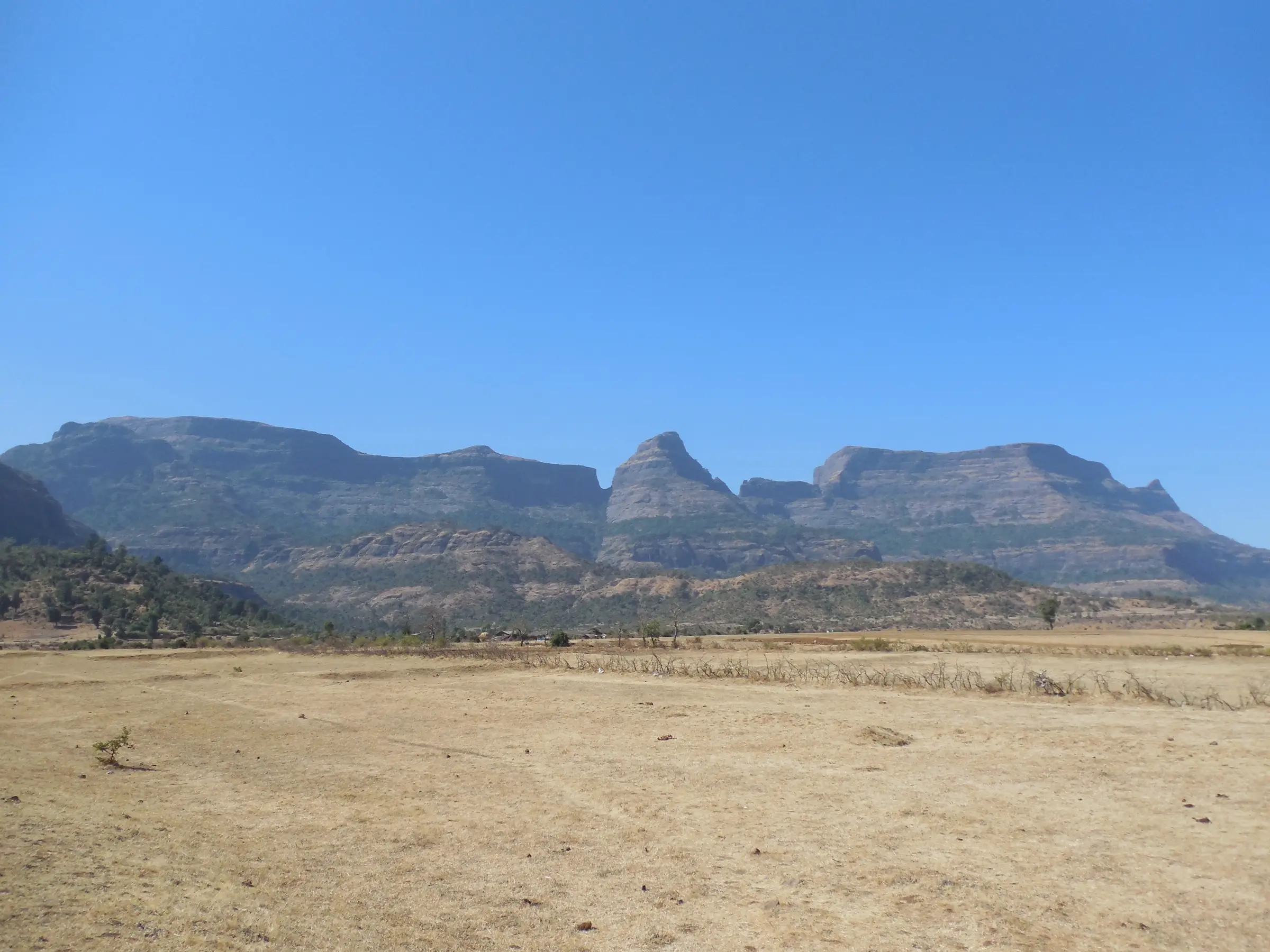 The three flat-topped rock forts of Alang, Madan and Kulang rising above dry fields at Ambewadi under a clear blue sky