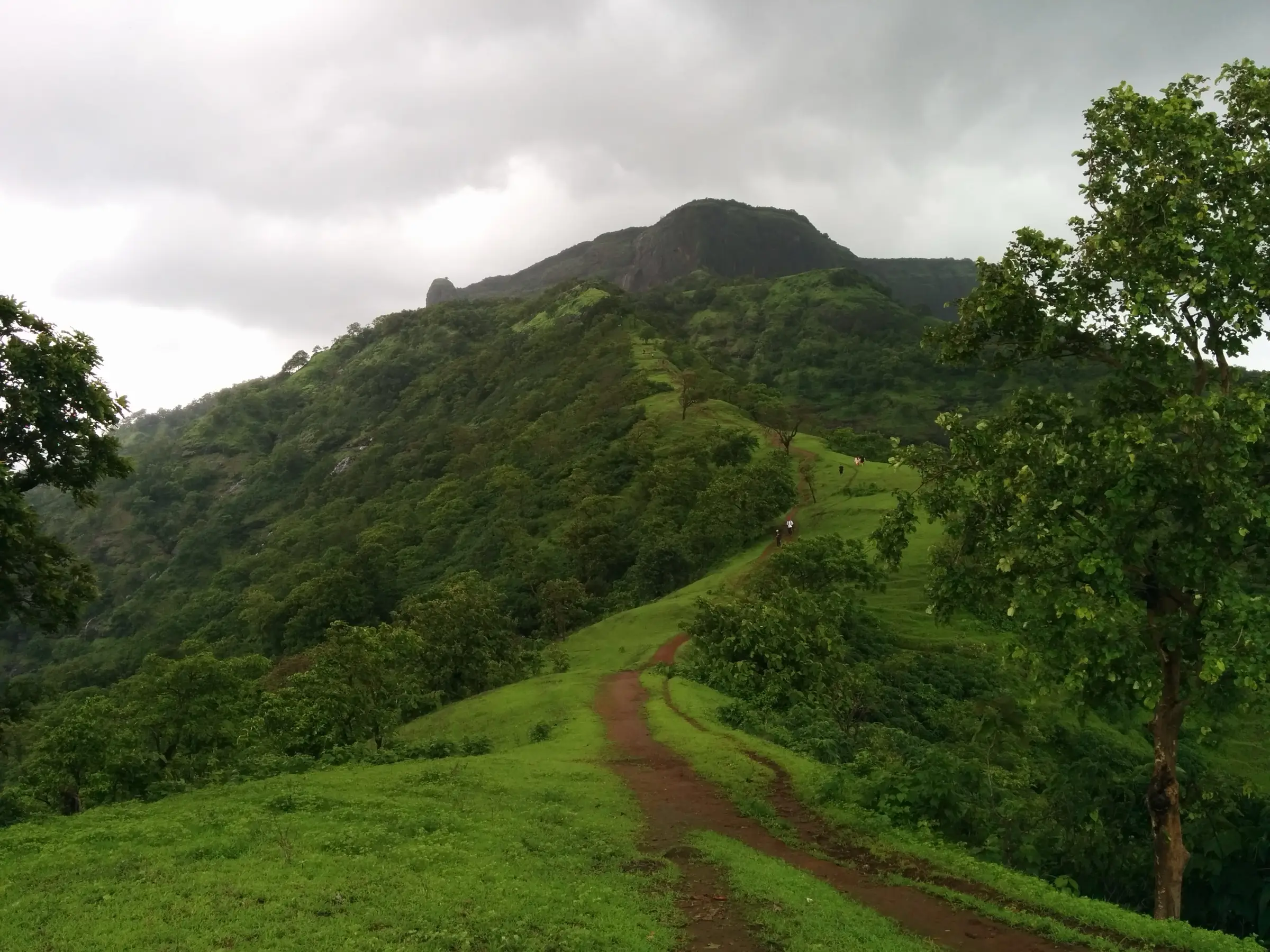 Red-earth trail running up a green monsoon ridge from Ambewadi towards the dark rocky crest of One Tree Hill under grey clouds, with walkers in the distance