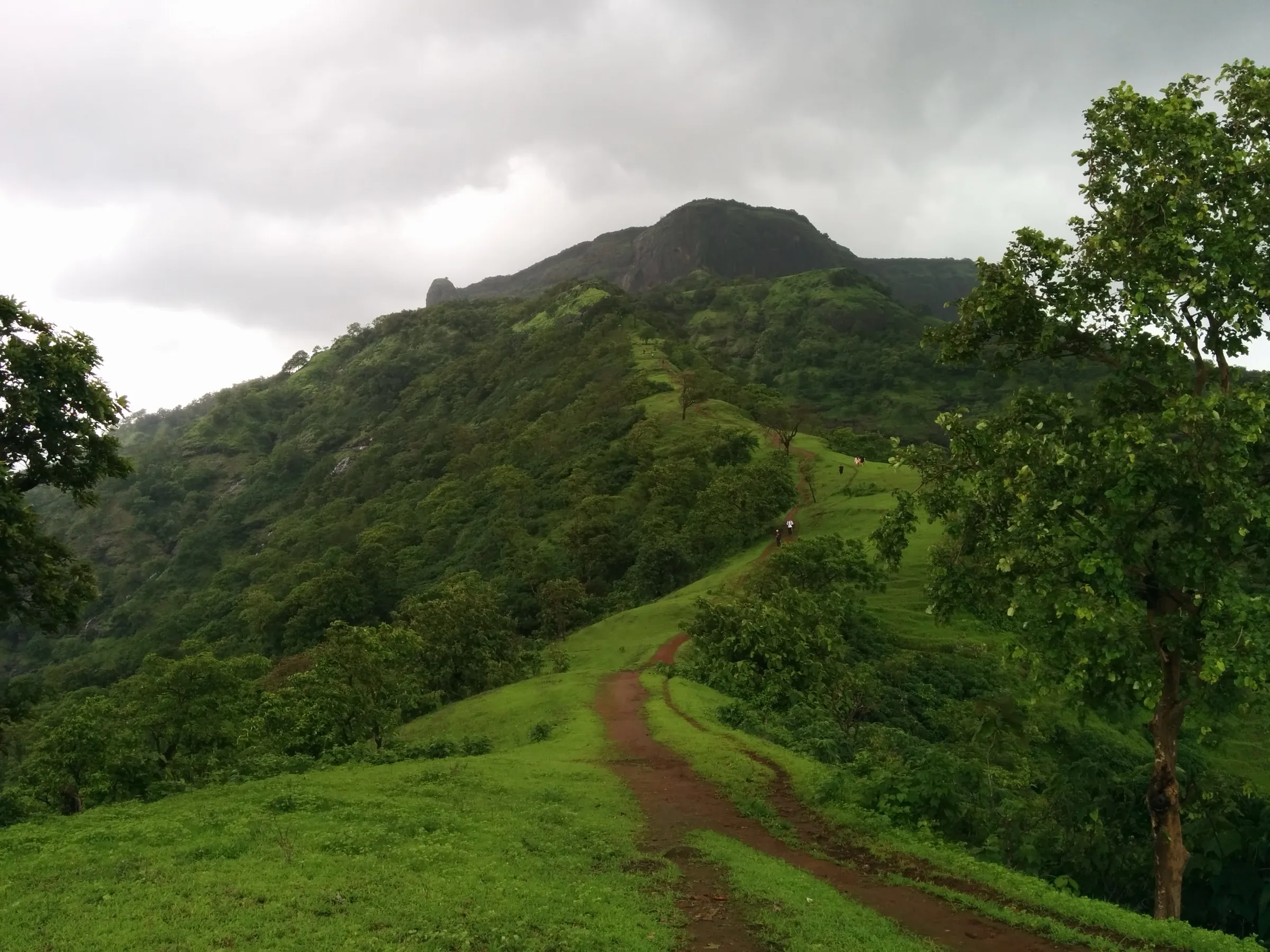 Red-earth trail running up a green monsoon ridge from Ambewadi towards the dark rocky crest of One Tree Hill under grey clouds, with walkers in the distance