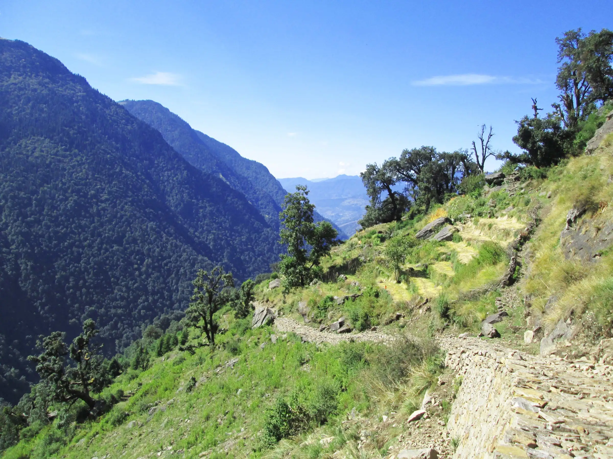 Stone-paved mule path cutting across a green, forested hillside on the Gaundar to Madmaheshwar section of the trail