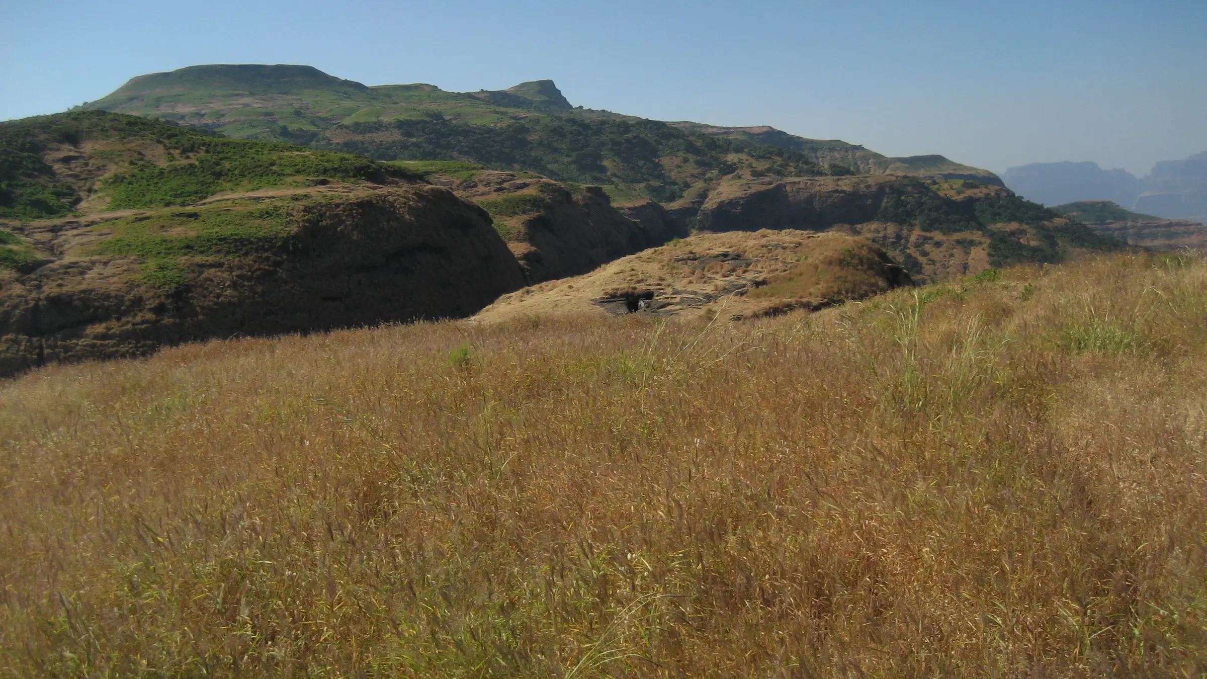 Dry golden grass in the foreground and the green Ghanchakkar plateau rising behind, seen from the top of Bhairavgad near Shirpunje