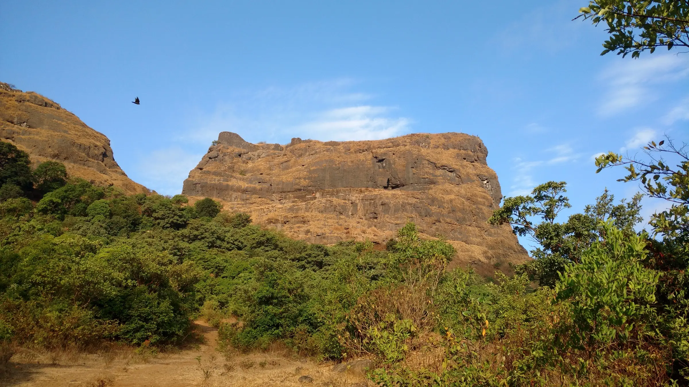 The flat-topped, block-shaped rock scarp of Ghangad Fort rising above green scrub under a clear blue sky