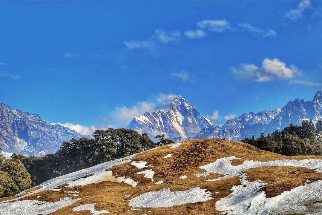 Nanda Devi rising above a snow-patched brown meadow and dark oak trees at Gorson Bugyal under a deep blue sky