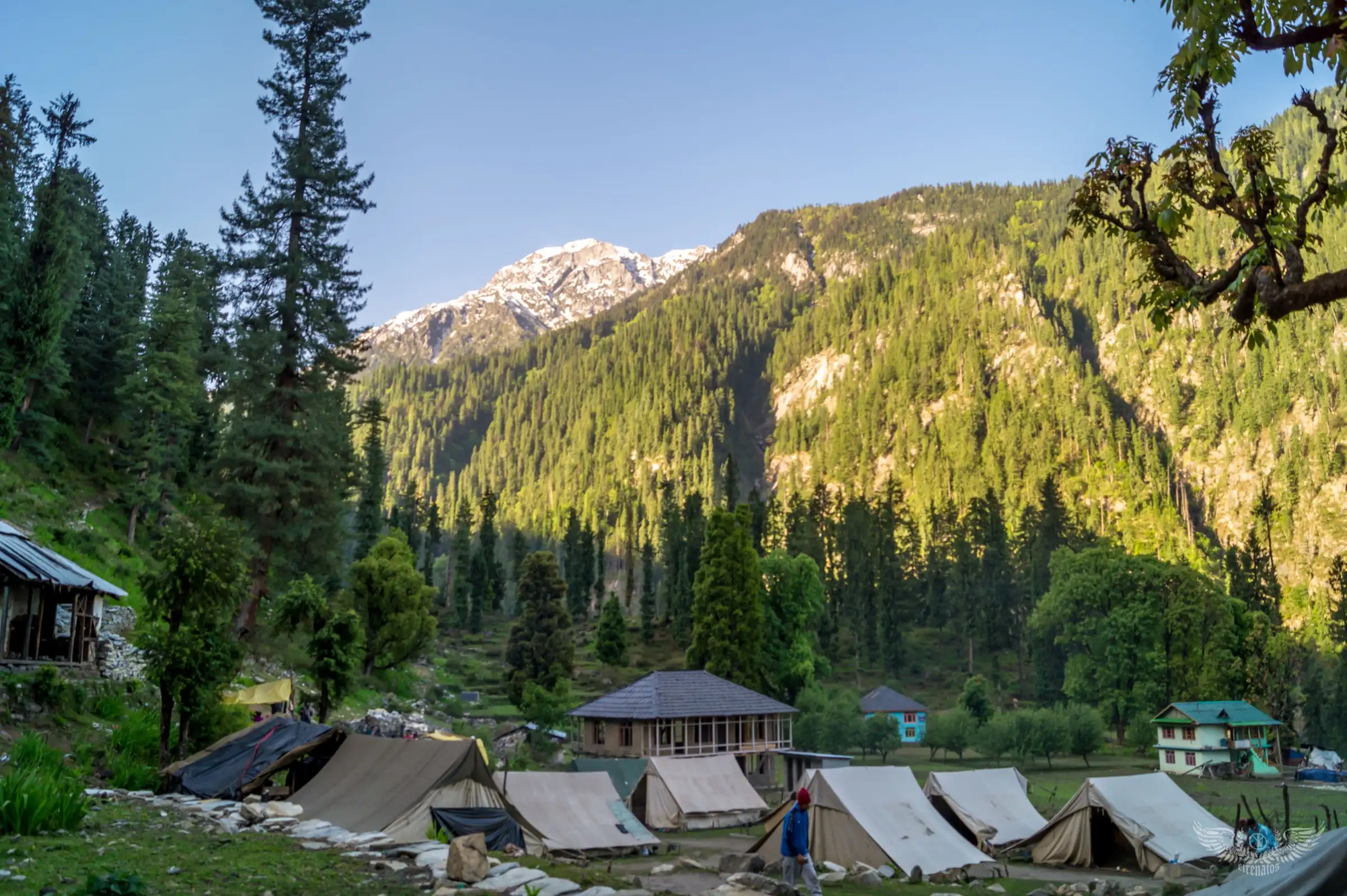 Tents at the Grahan campsite in a pine forest below a snow-capped peak, on the first day of the route