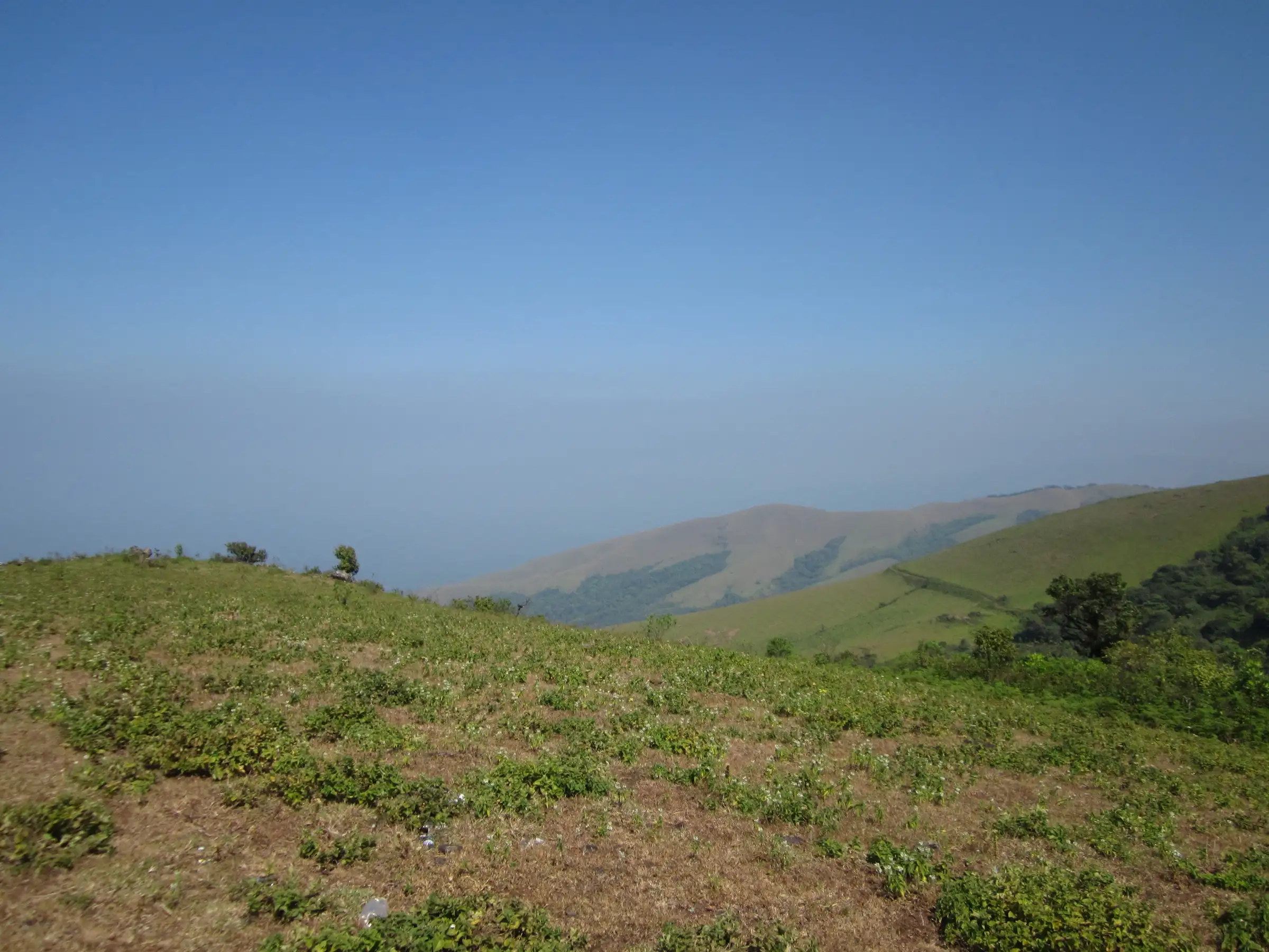 Open grassland near Mullayanagiri with patches of shola forest on the neighbouring hills