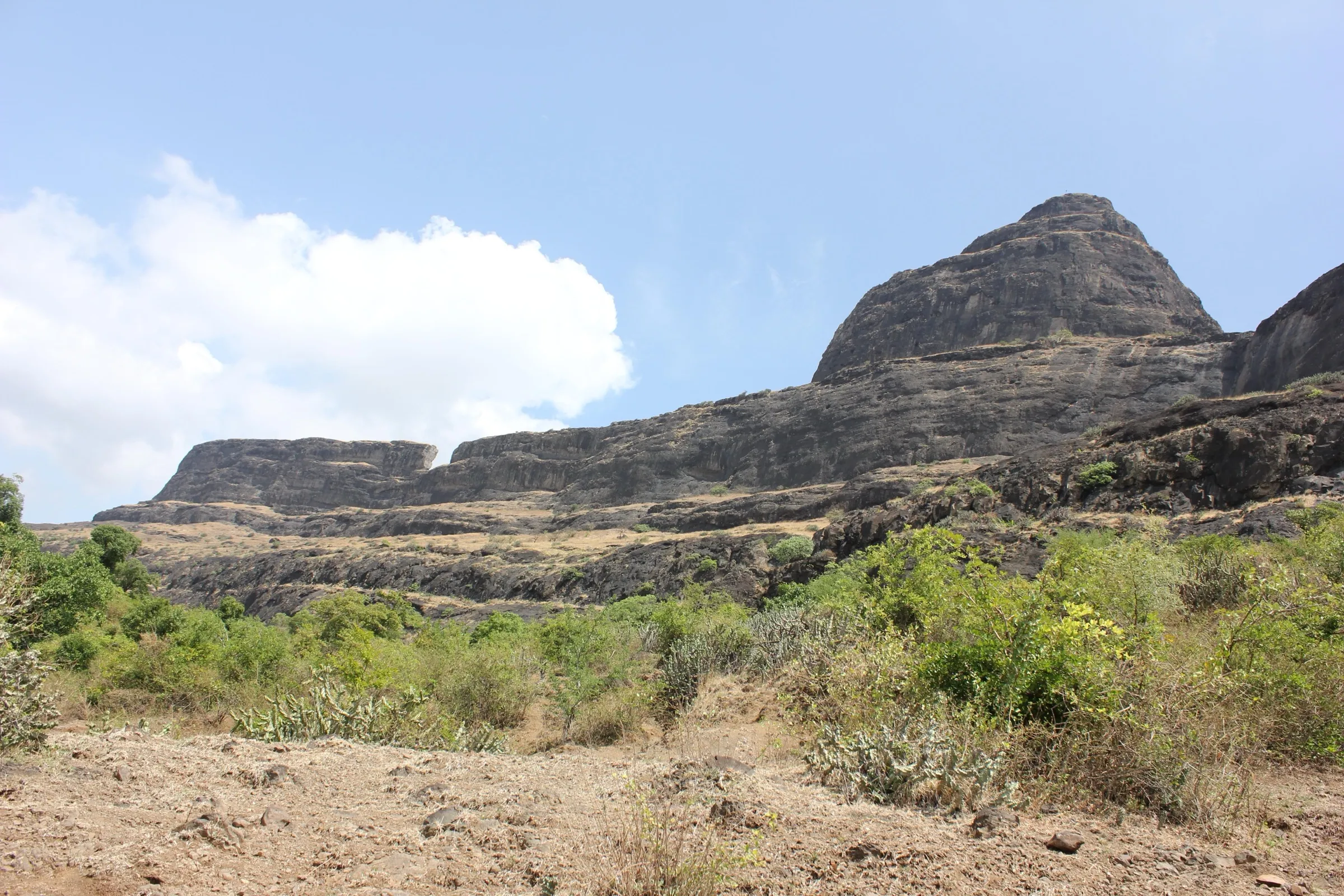 Dhodap Fort's dark basalt cliffs and summit cone rising above green scrub, seen from the Hatti approach