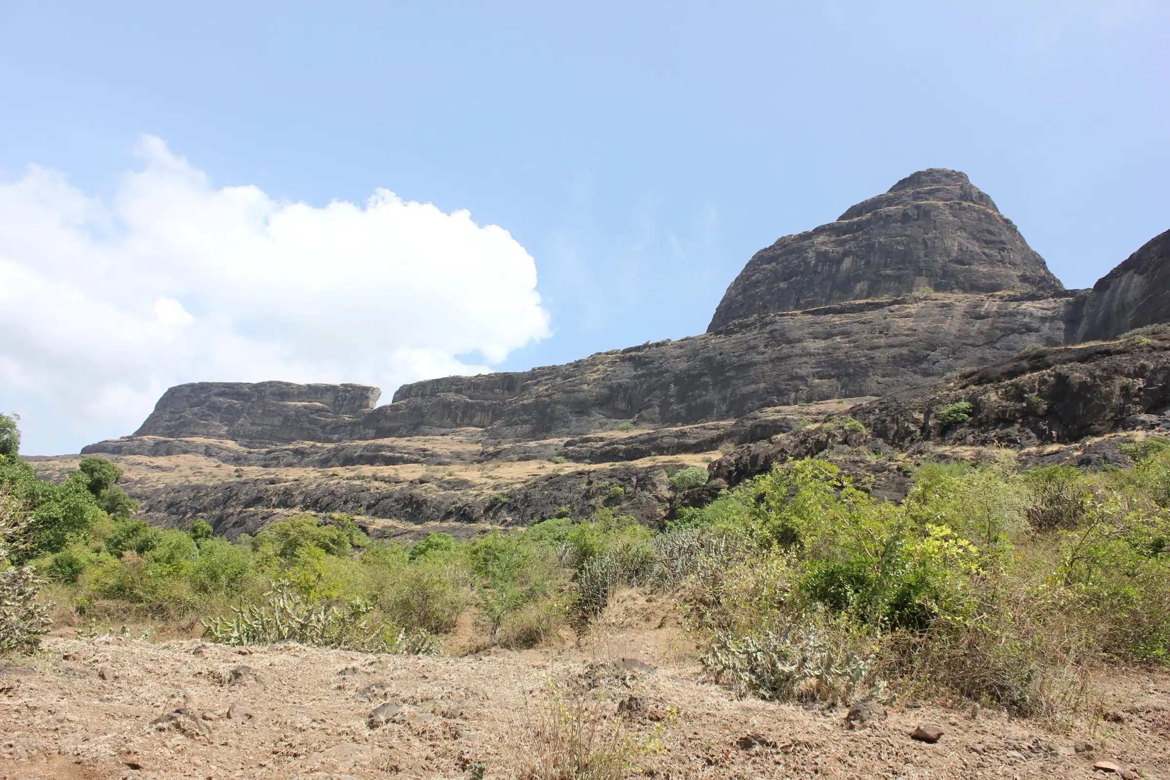 Dhodap Fort's dark basalt cliffs and summit cone rising above green scrub, seen from the Hatti approach