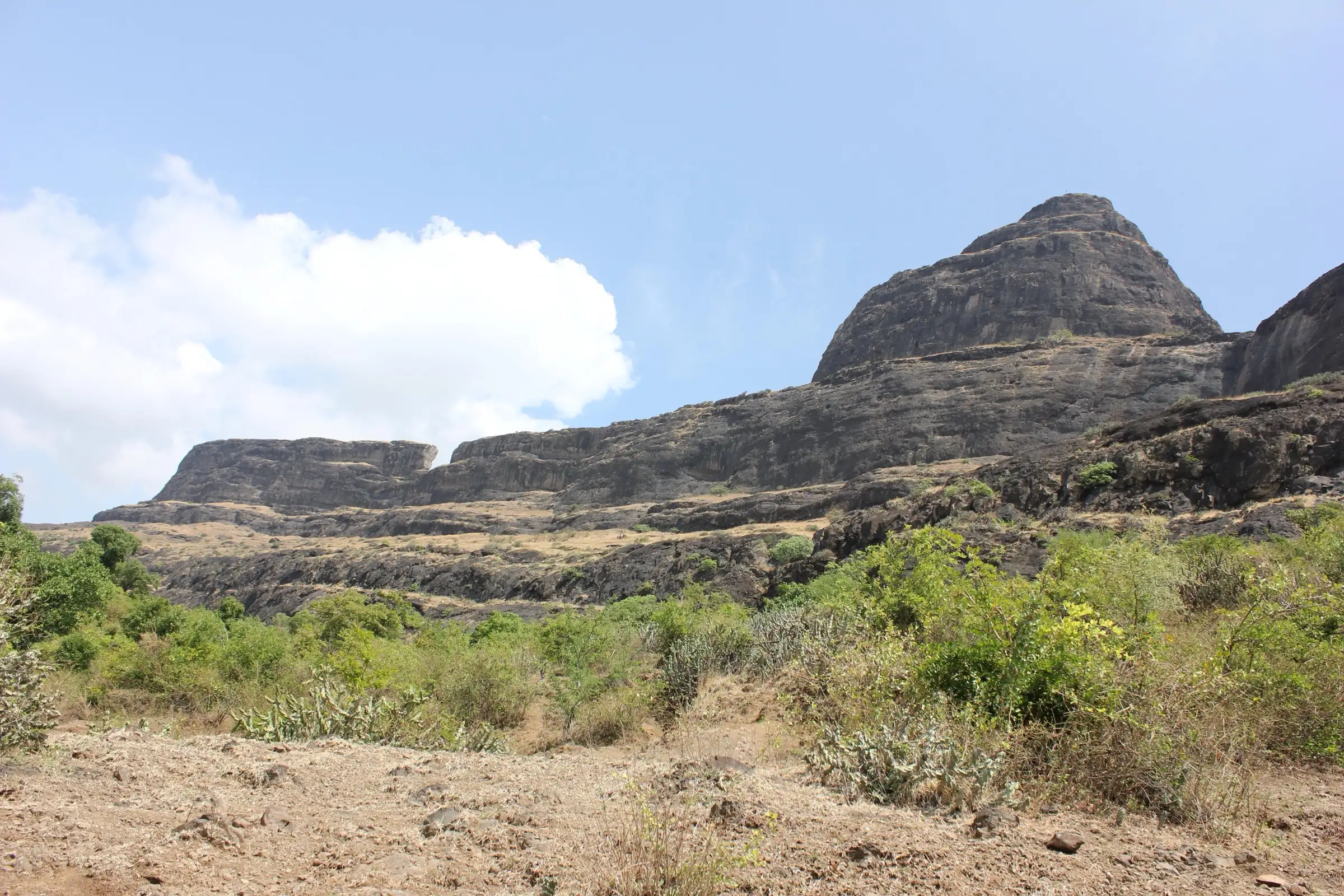 Dhodap Fort's dark basalt cliffs and summit cone rising above green scrub, seen from the Hatti approach