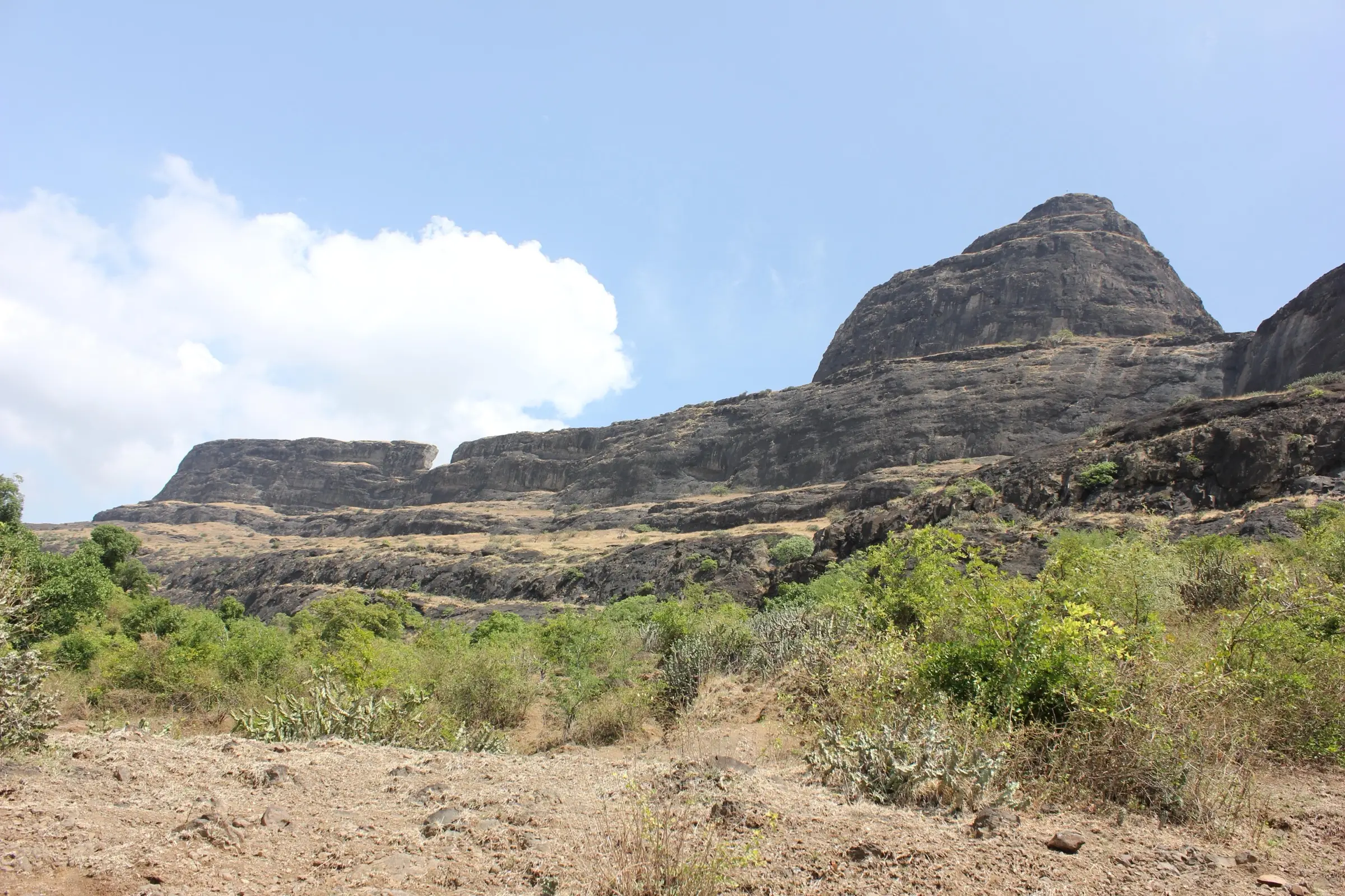 Dhodap Fort's dark basalt cliffs and summit cone rising above green scrub, seen from the Hatti approach
