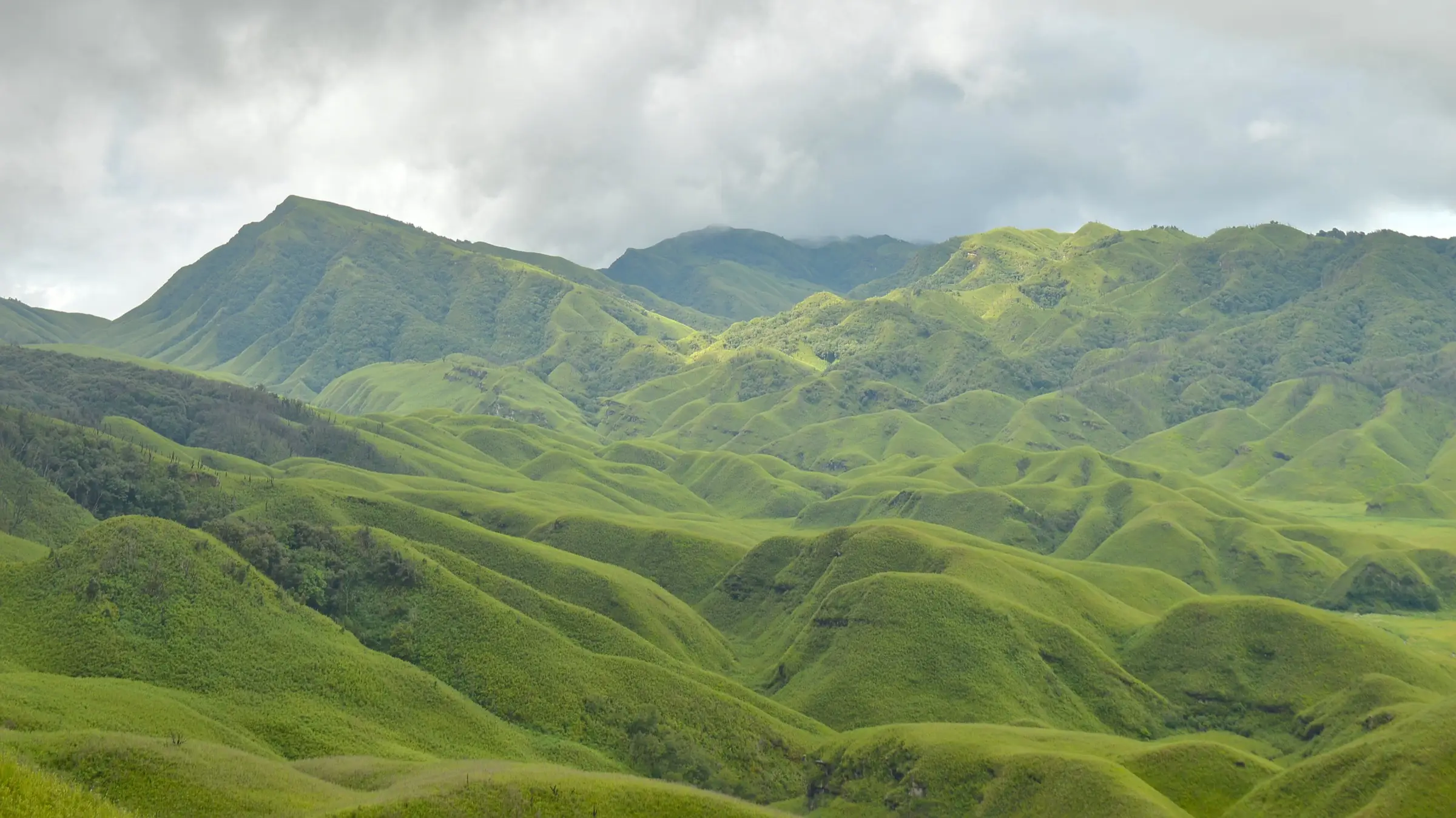 Rolling green grassy hills of Dzükou Valley under monsoon clouds