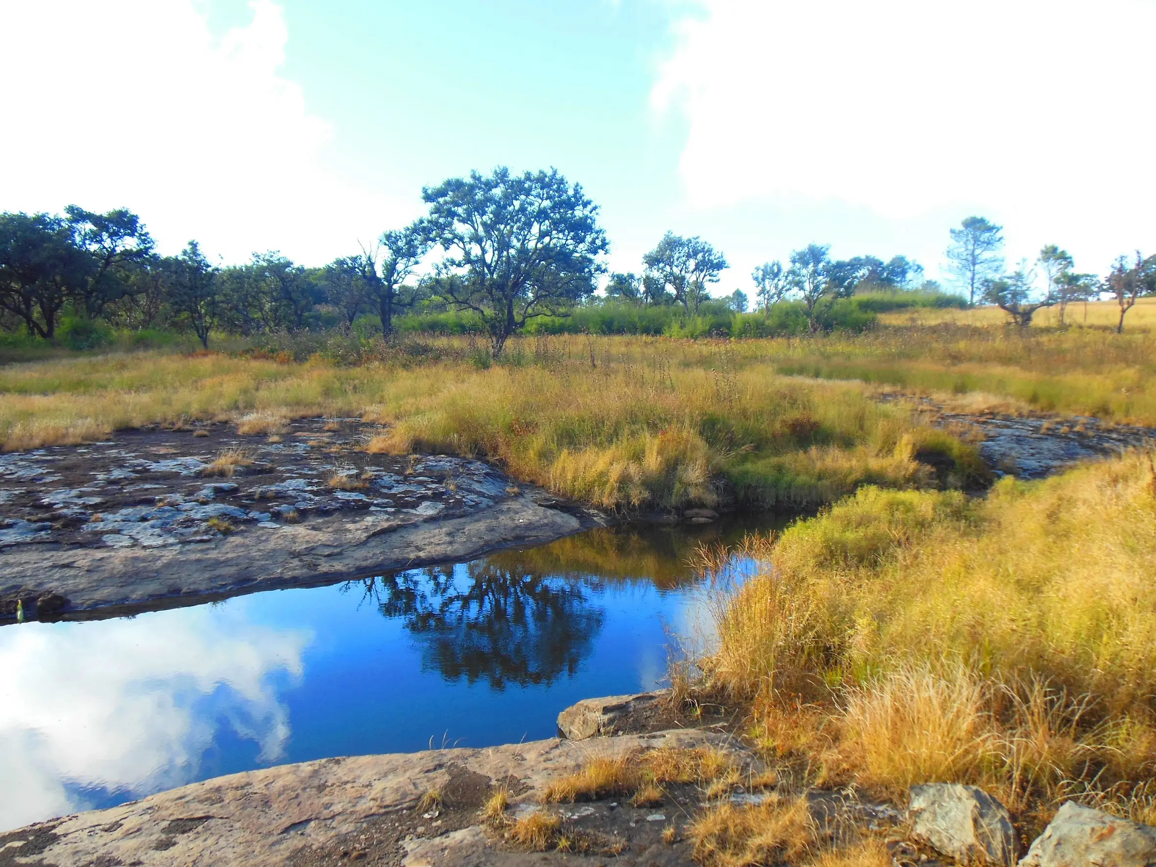 Rock pool reflecting trees and sky in golden grassland inside Phawngpui National Park