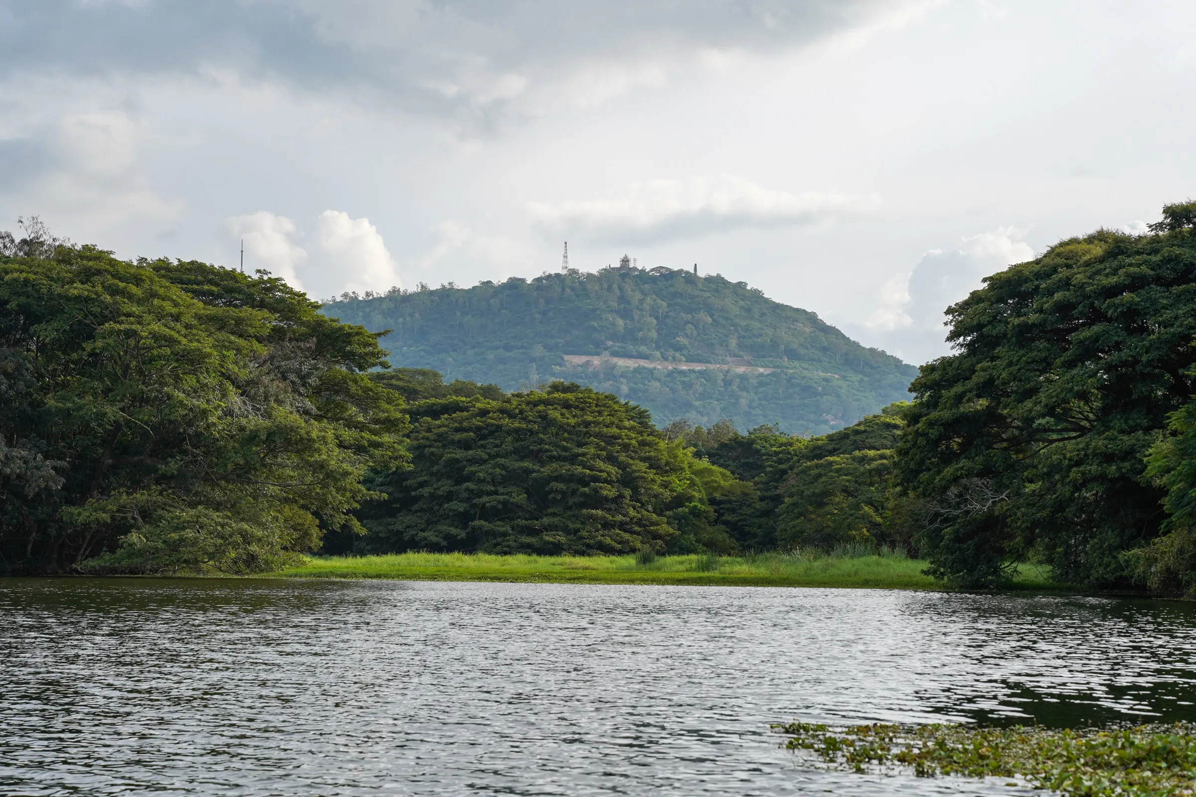 Forested Chamundi Hill with the temple tower and a mast on its summit, seen across Karanji Lake in Mysuru