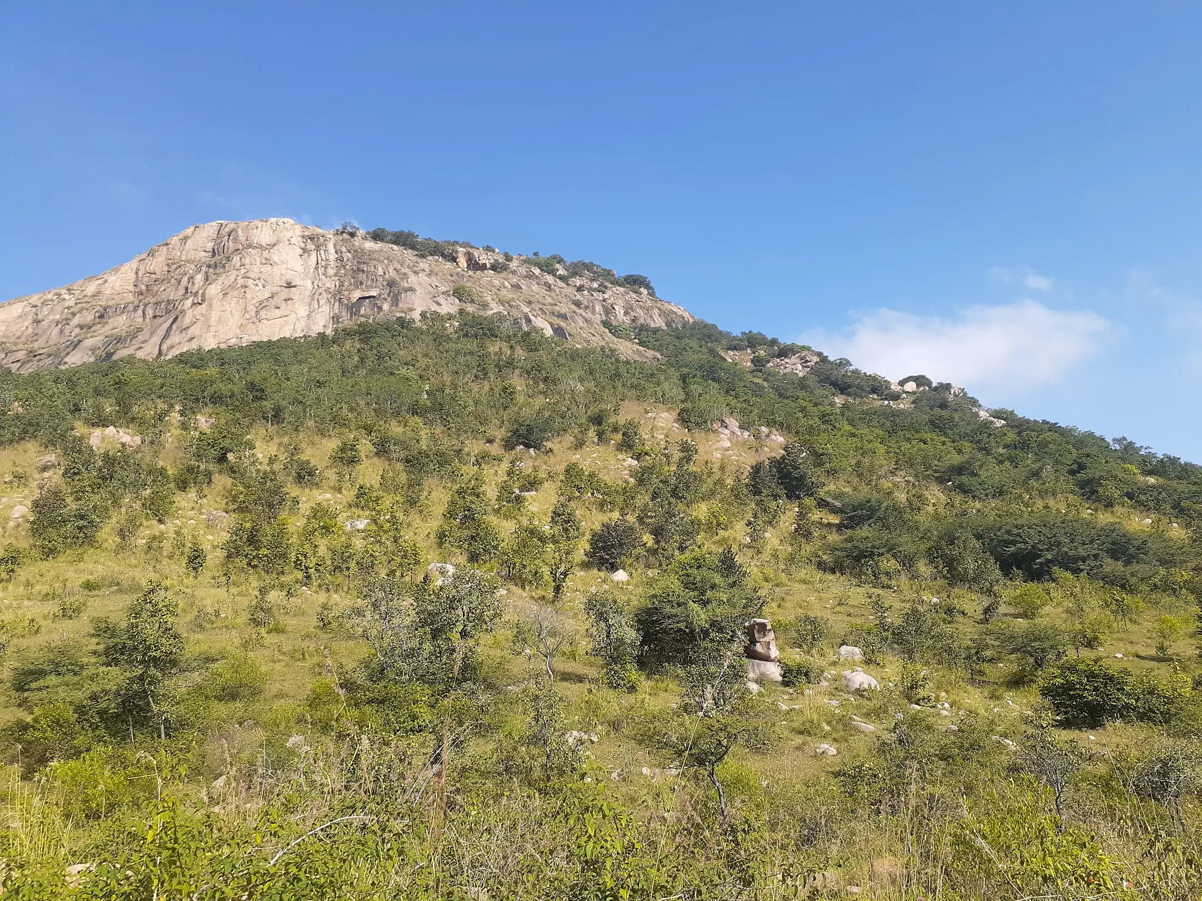 Bare granite cliff of Makalidurga hill rising above green scrub slopes under a blue sky