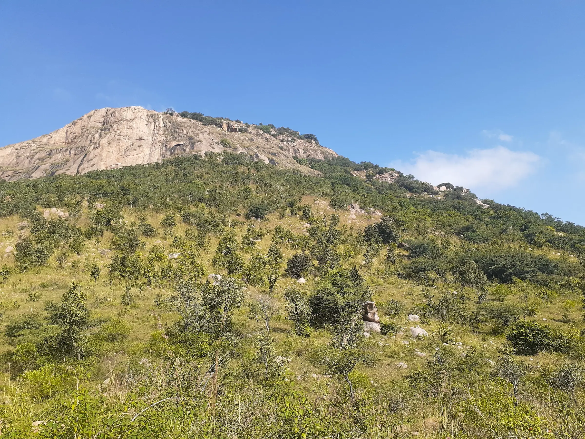 Bare granite cliff of Makalidurga hill rising above green scrub slopes under a blue sky
