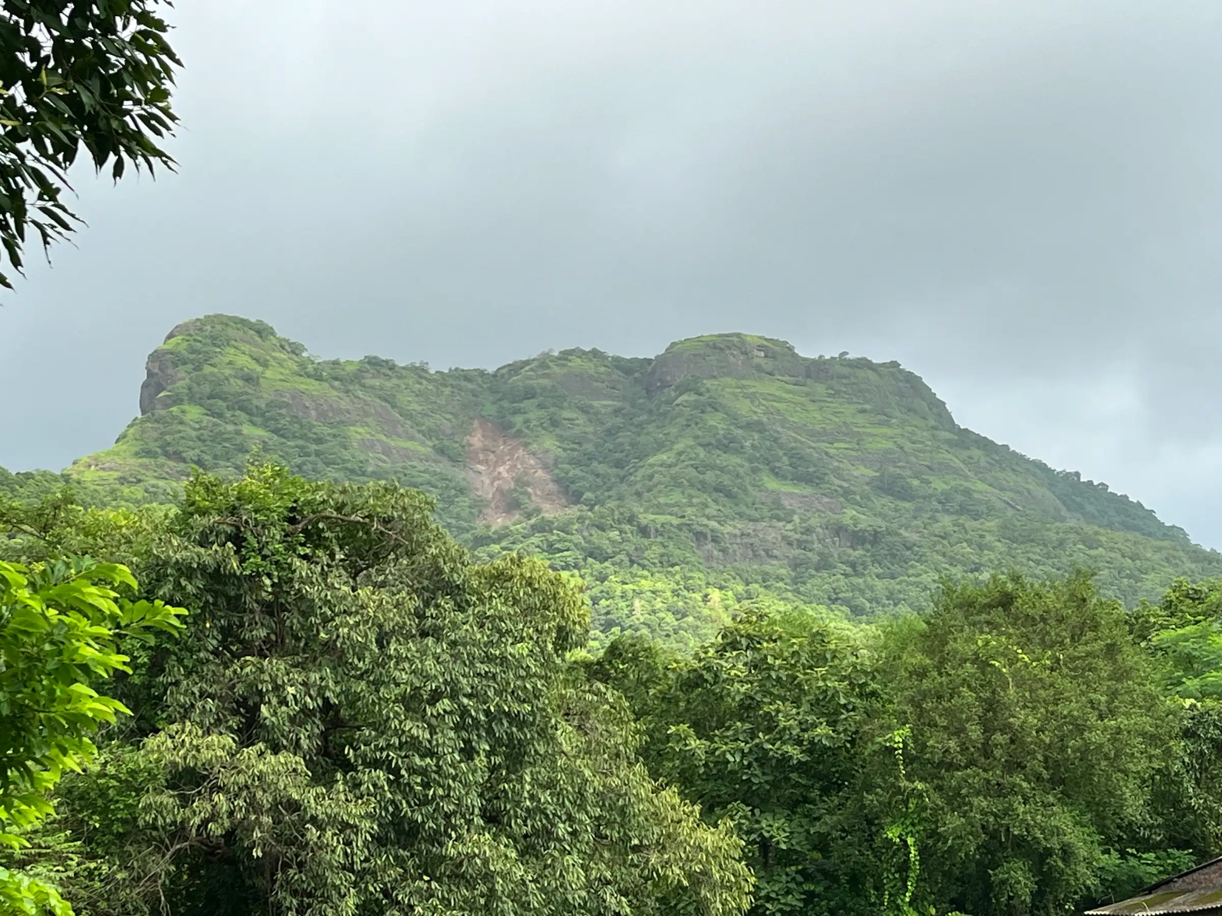 The long green ridge of Tandulwadi hill under monsoon clouds, seen over trees from the village side