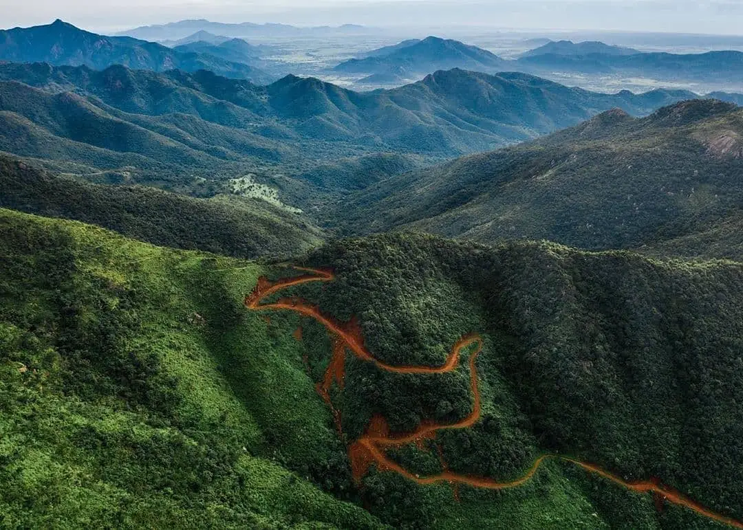 Aerial view of forested Mahendragiri hills with a red dirt road winding up the slope and Eastern Ghats ridges beyond