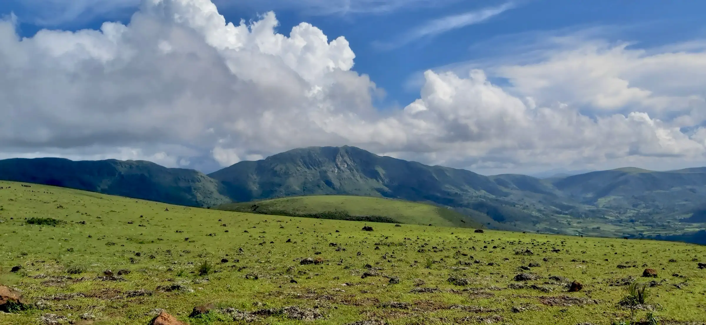 Green stony grassland on the Deomali hilltop with a dark mountain ridge and big white clouds behind