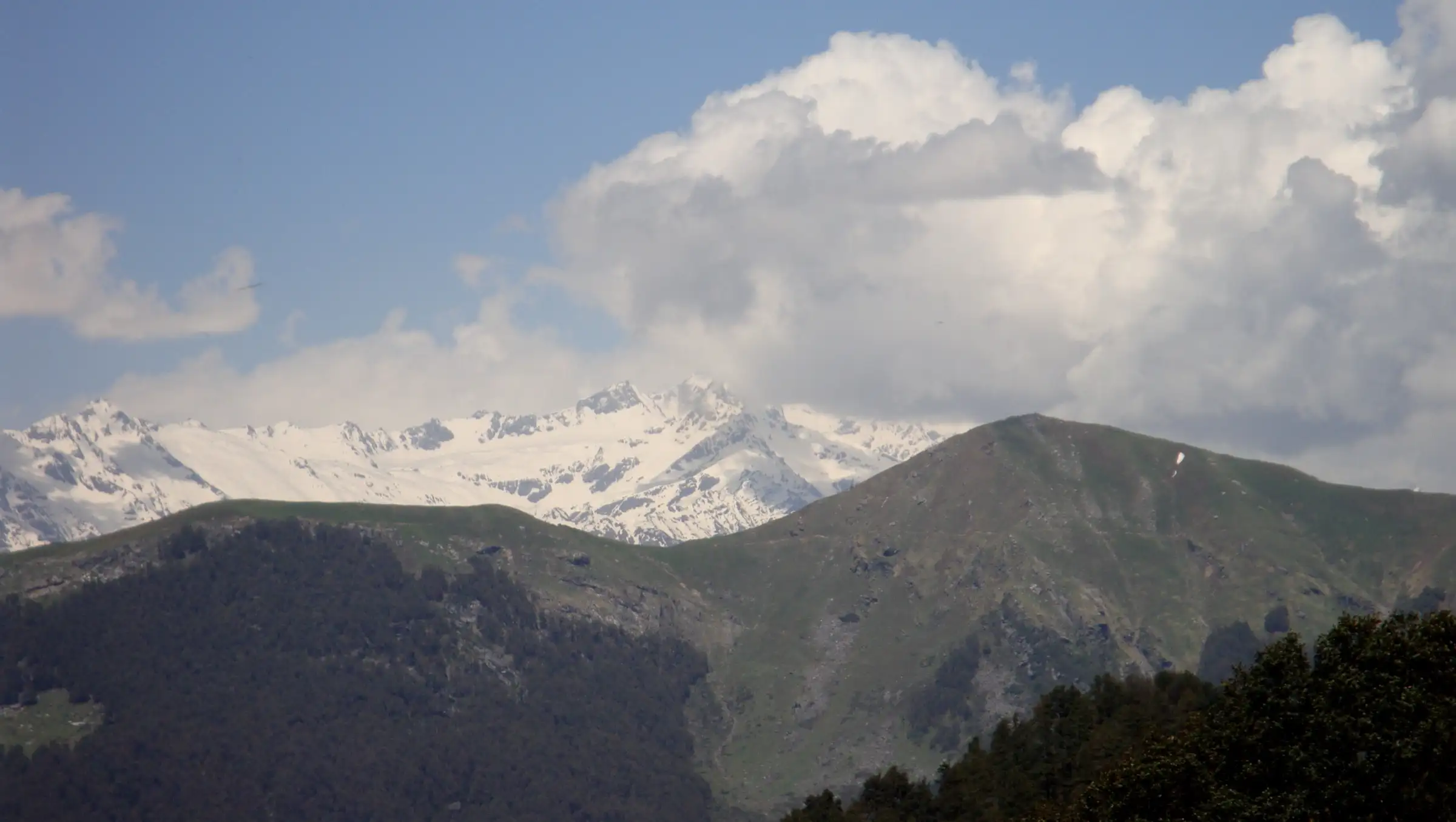 Snow peaks behind a grassy ridge seen from Jalori Pass, near the start of the Lambri trek (not Lambri Top itself)