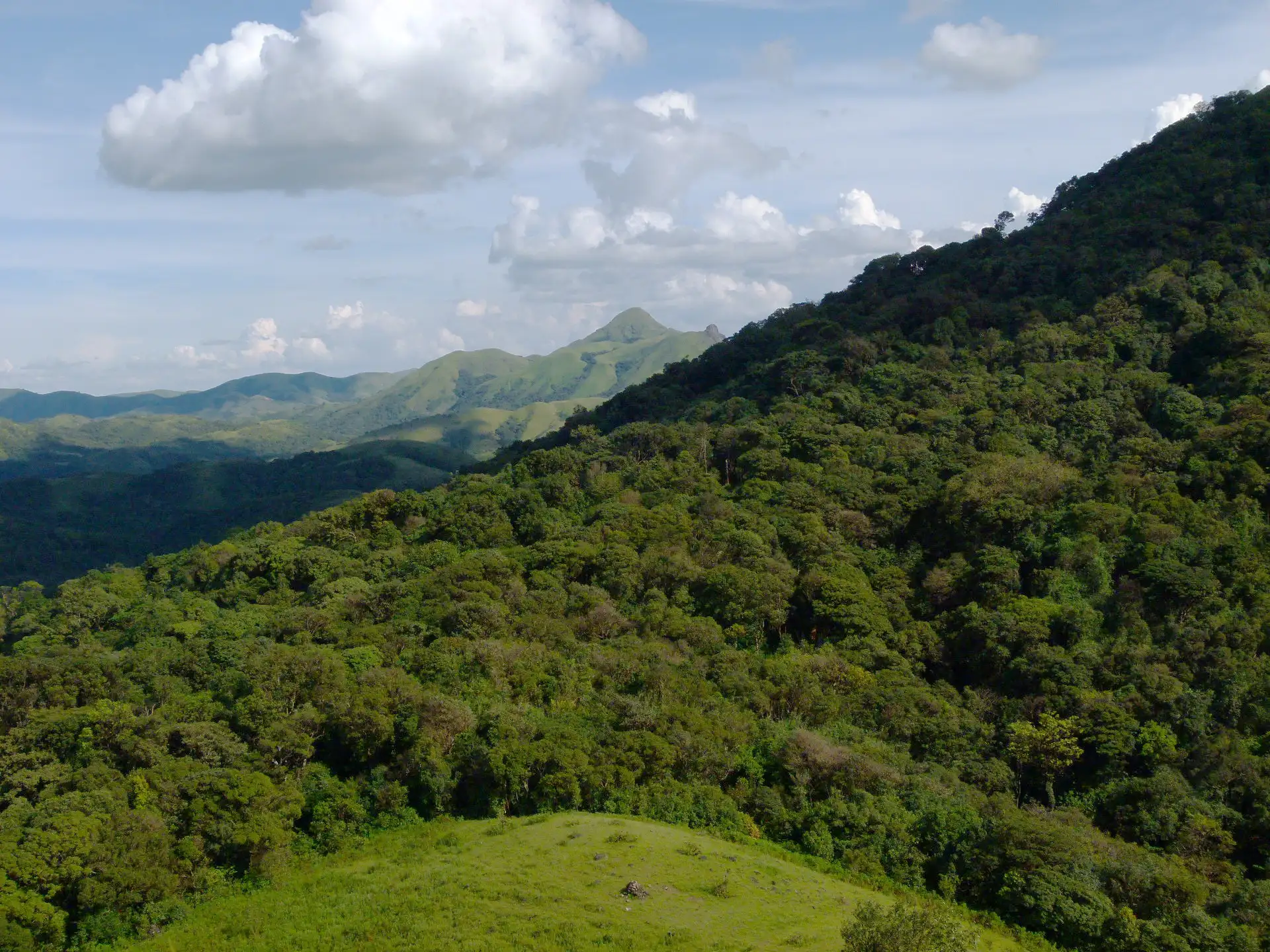 View of Jenukal Gudda across the ridge, seen from neighbouring Ettina Bhuja