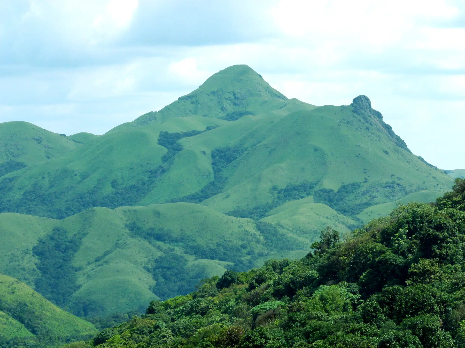 Jenukal Gudda's grassy slopes and forest on the Western Ghats crest near Sakleshpur