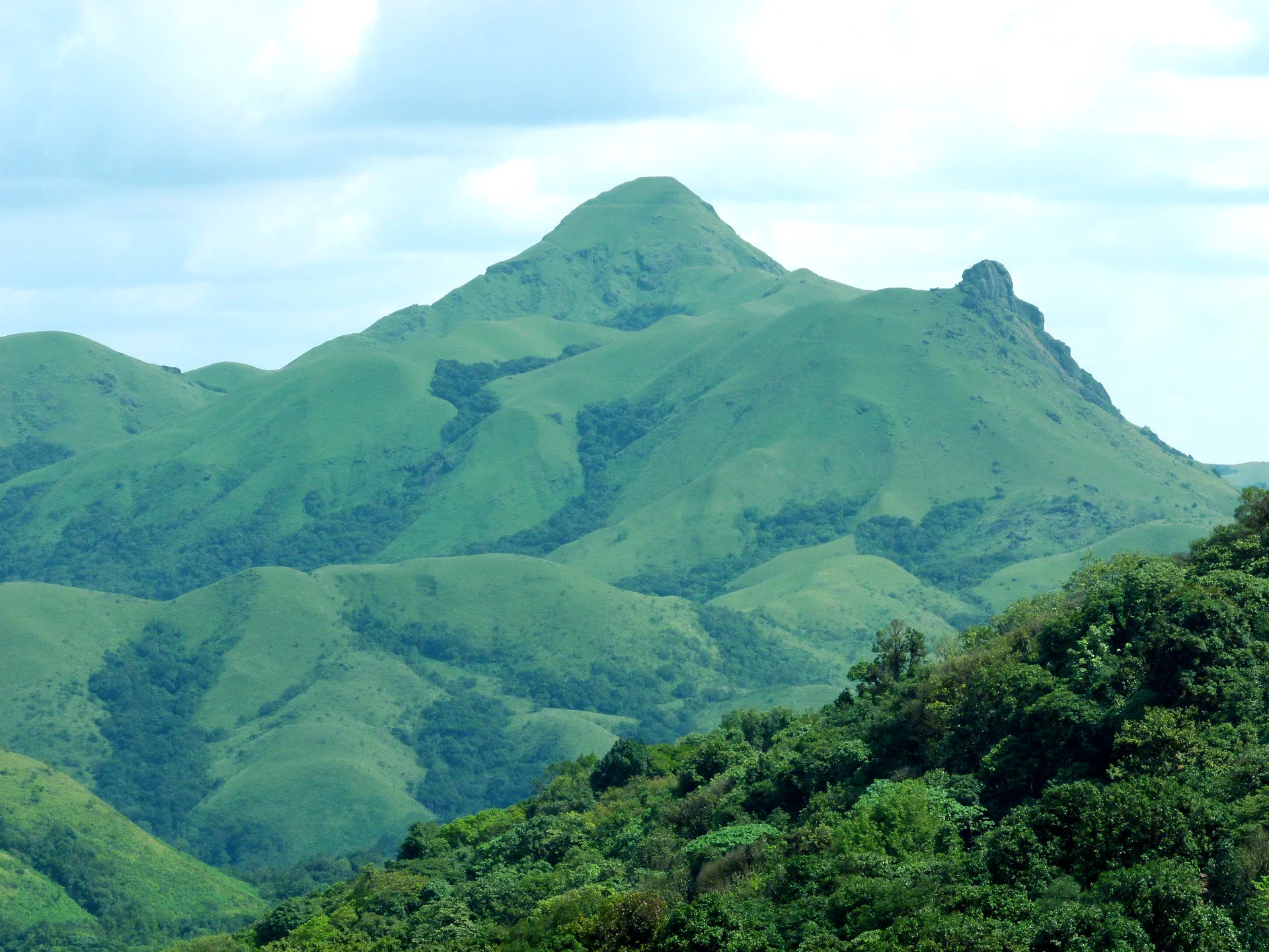 Jenukal Gudda's grassy slopes and forest on the Western Ghats crest near Sakleshpur