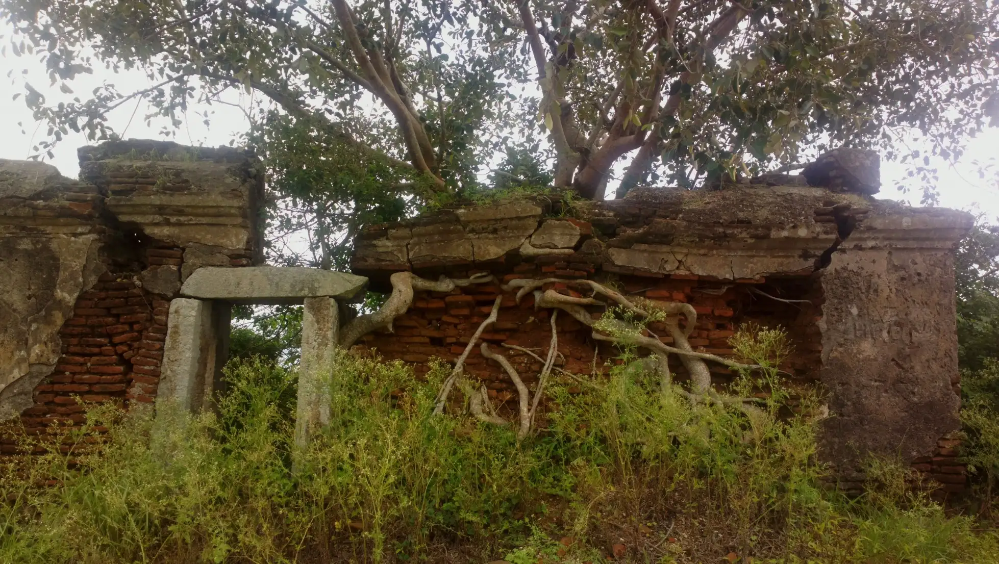 Brick and stone walls of the old Kabbaladurga fort on the summit, with tree roots growing over the ruins