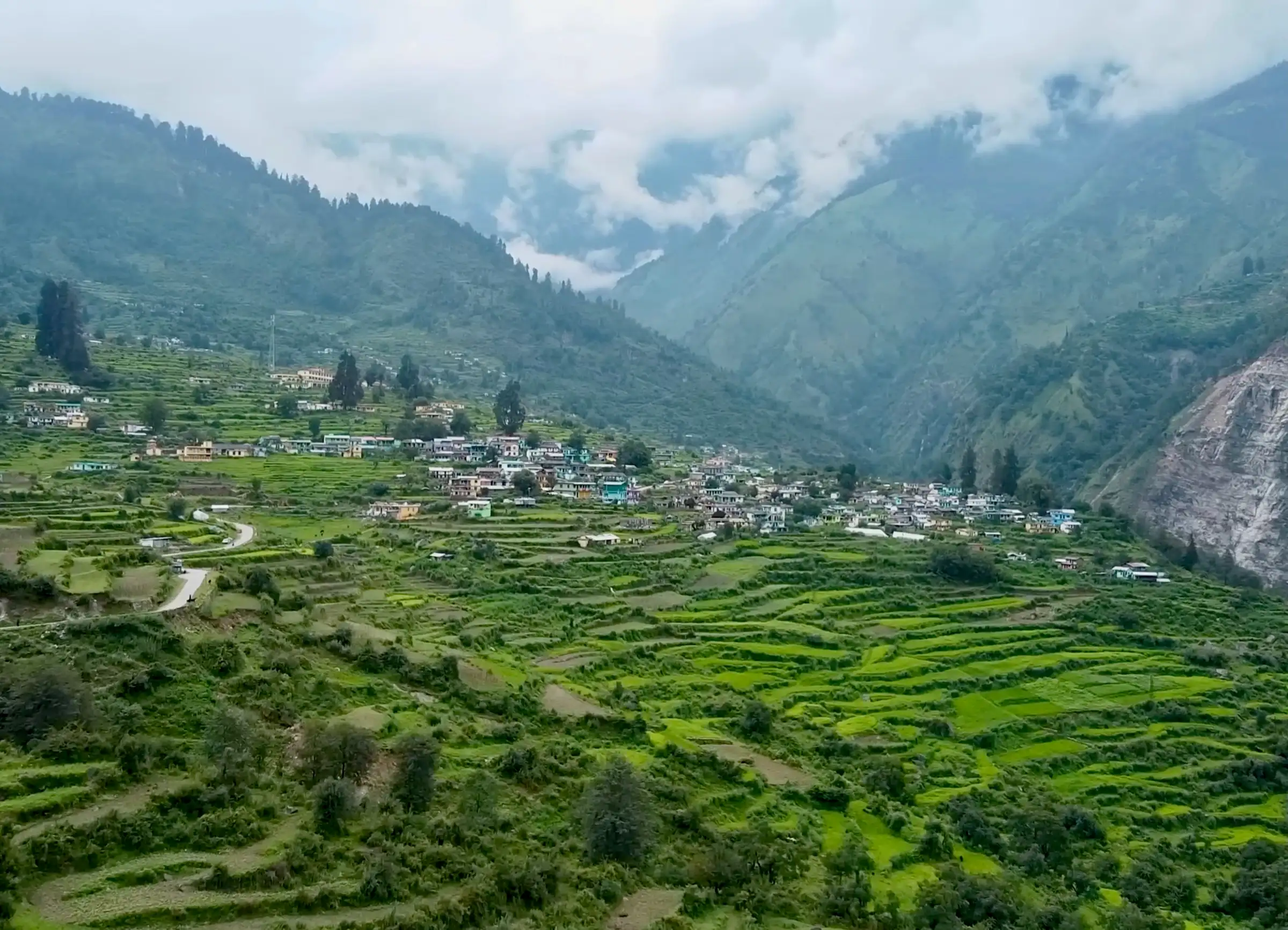 Terraced green fields and houses of Kalpeshwar village in the Urgam valley under clouded mountains