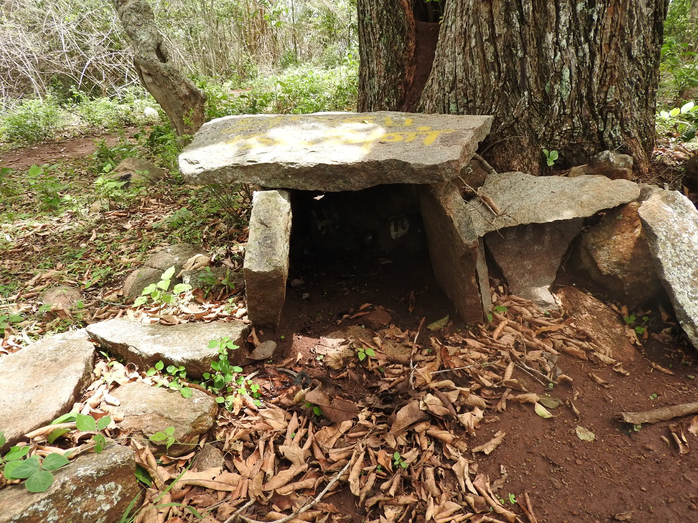 An old stone slab structure (kalthittai) under a large tree in the forest near Gundur, near the trek