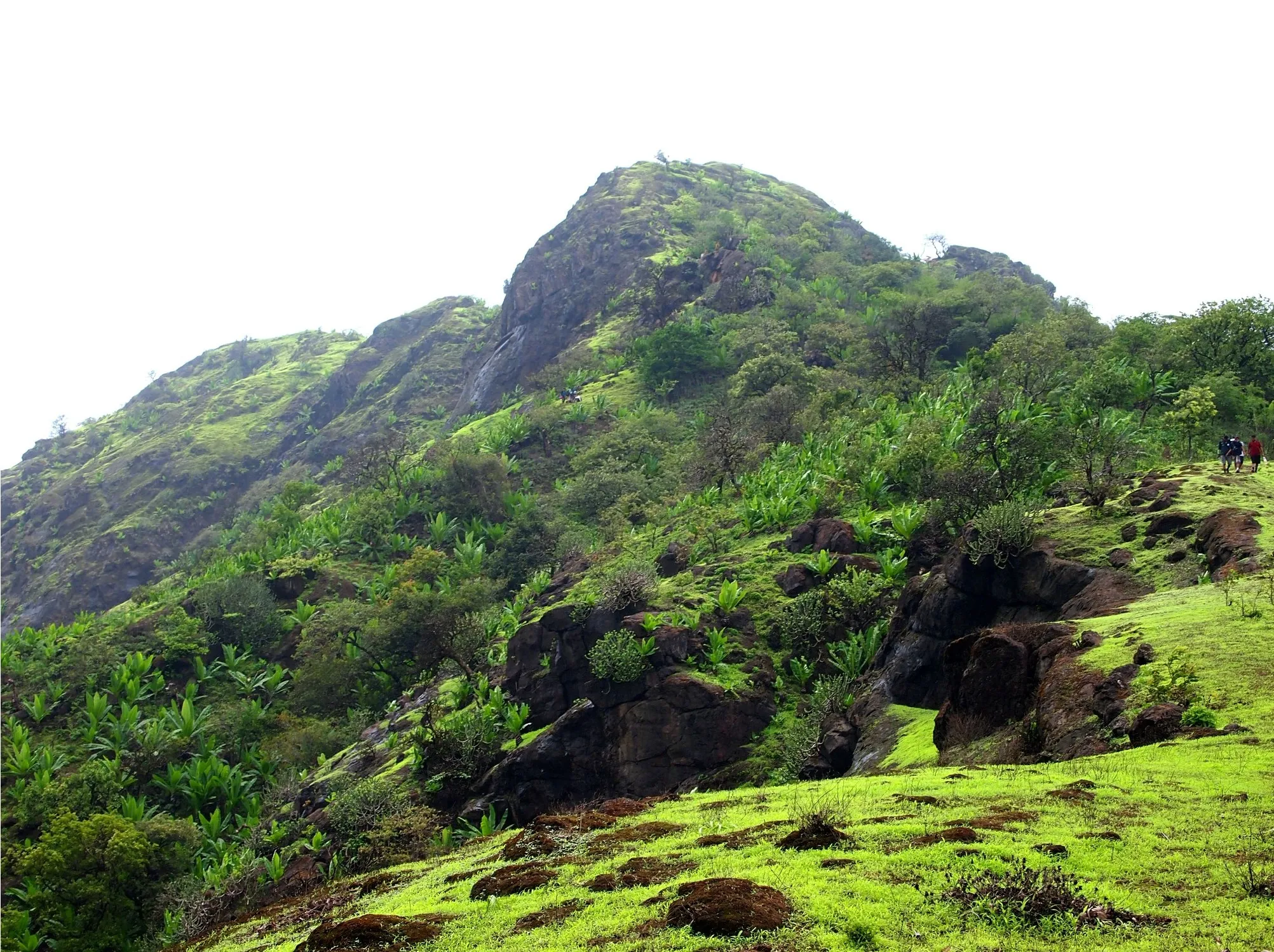 Green monsoon slopes and rocky top of the hill labelled Kaman durg (Kaman, Vasai) on Wikimedia Commons; the photo is not geotagged