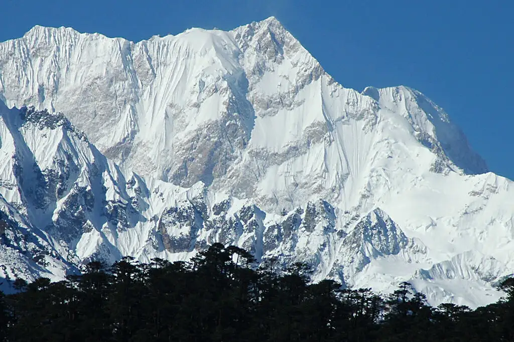 The snow and ice of Kangchenjunga's east face rising above dark fir trees, seen from Thalem below the Zemu Glacier