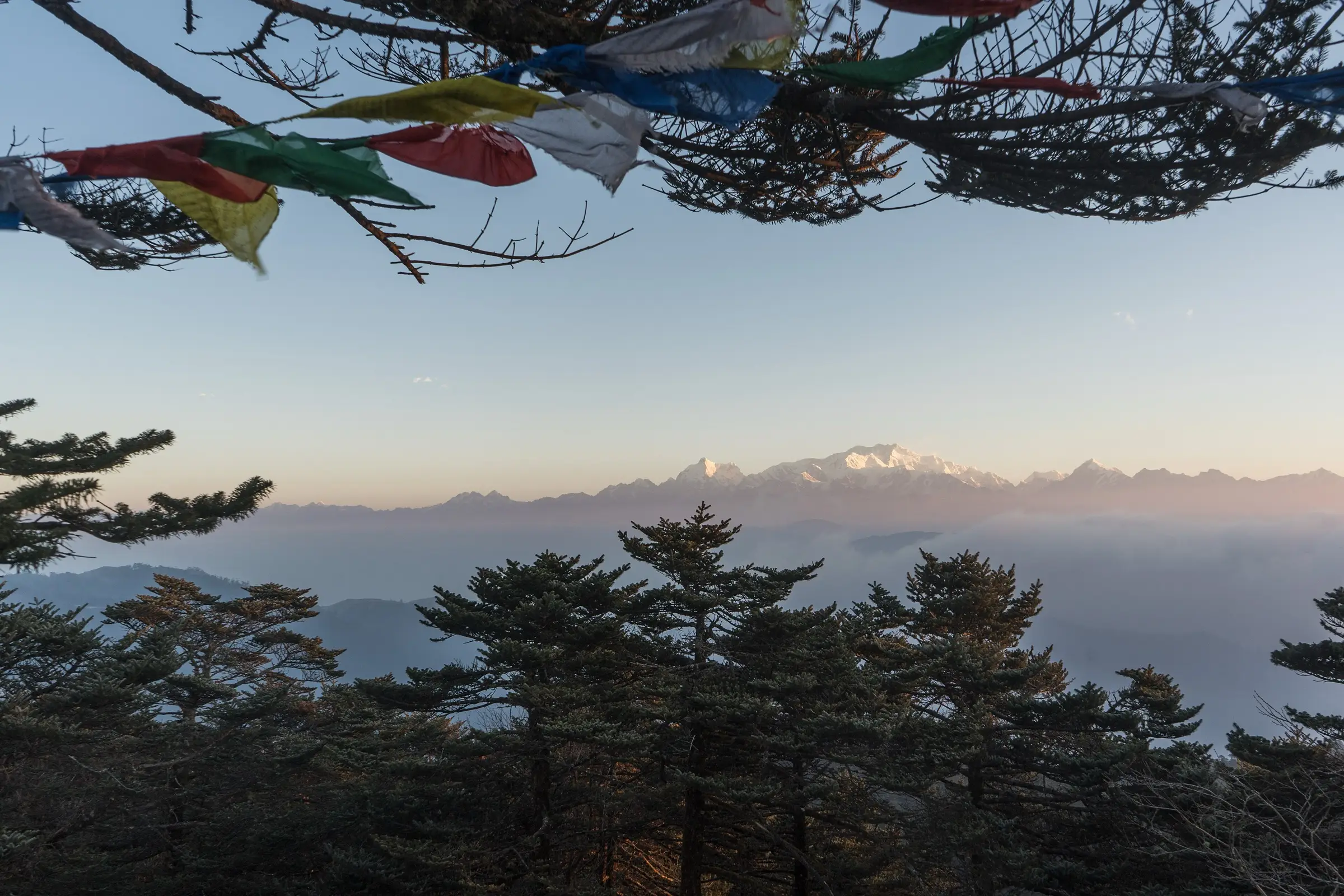 Kumbhakarna, Kangchenjunga and Pandim mountains seen from Sandakphu above a sea of clouds