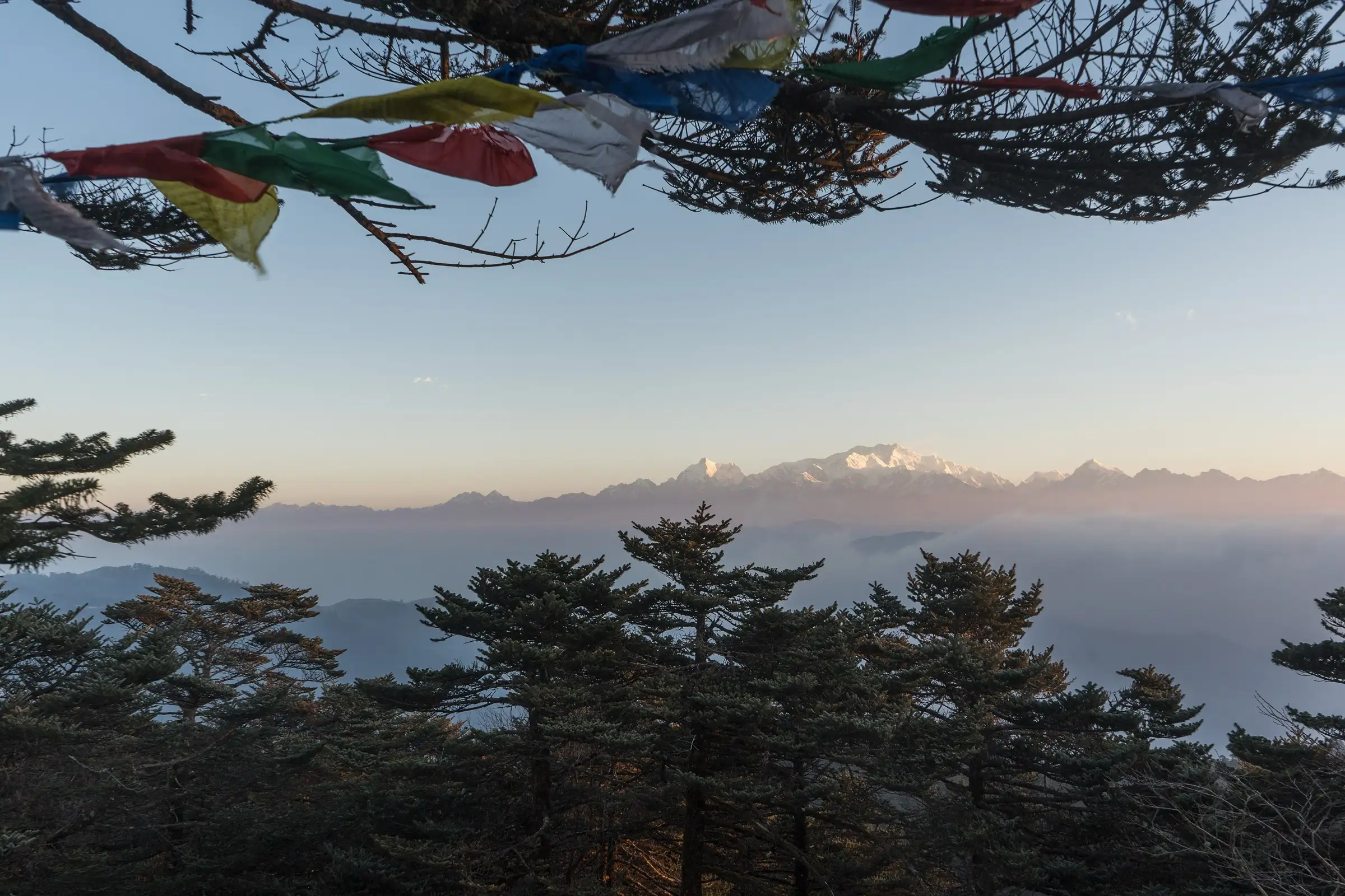 Kumbhakarna, Kangchenjunga and Pandim mountains seen from Sandakphu above a sea of clouds