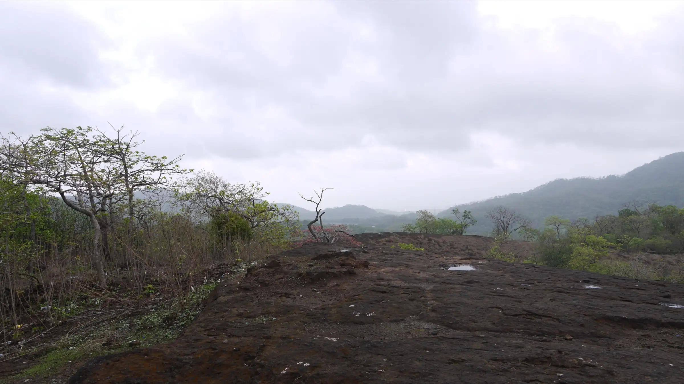 Bare rock plateau on the Kanheri hills with forested SGNP ridges under monsoon cloud, near the Jambulmal trail (not the summit itself)