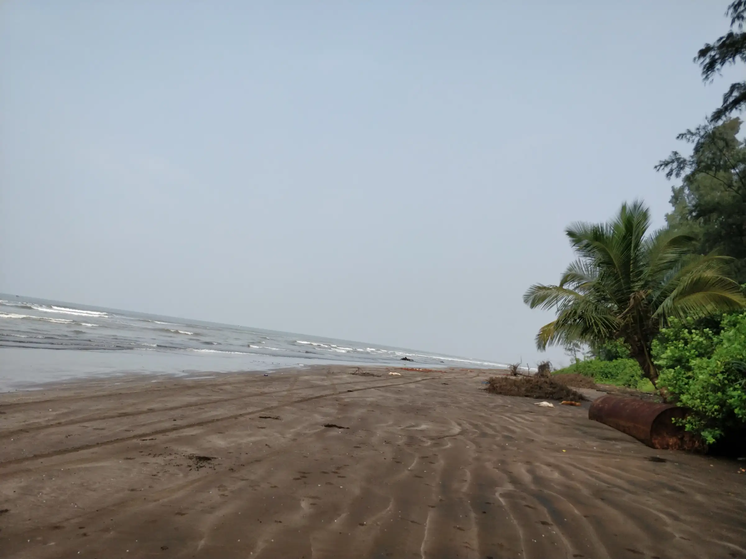 Rippled dark sand of the Karde–Murud beach with a coconut palm and green shrubs at the top of the shore