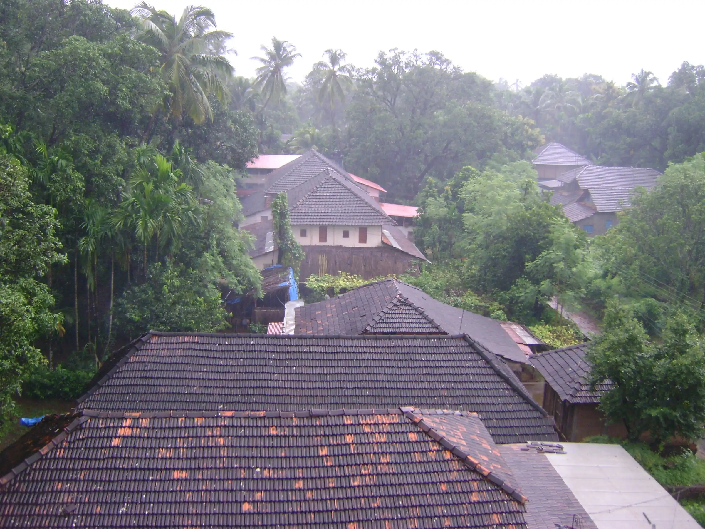 Tiled roofs of Kelshi village among coconut palms and trees on a rainy day, where the walk starts