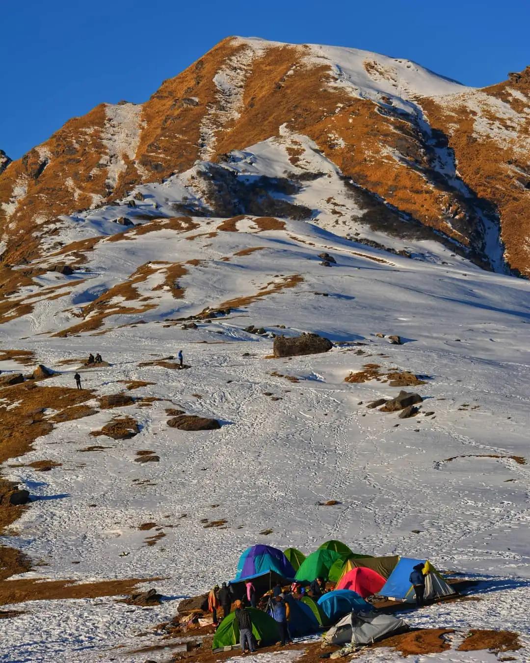 Colourful trekking tents on snowy Khaliya Bugyal below a brown-and-white ridge under blue sky