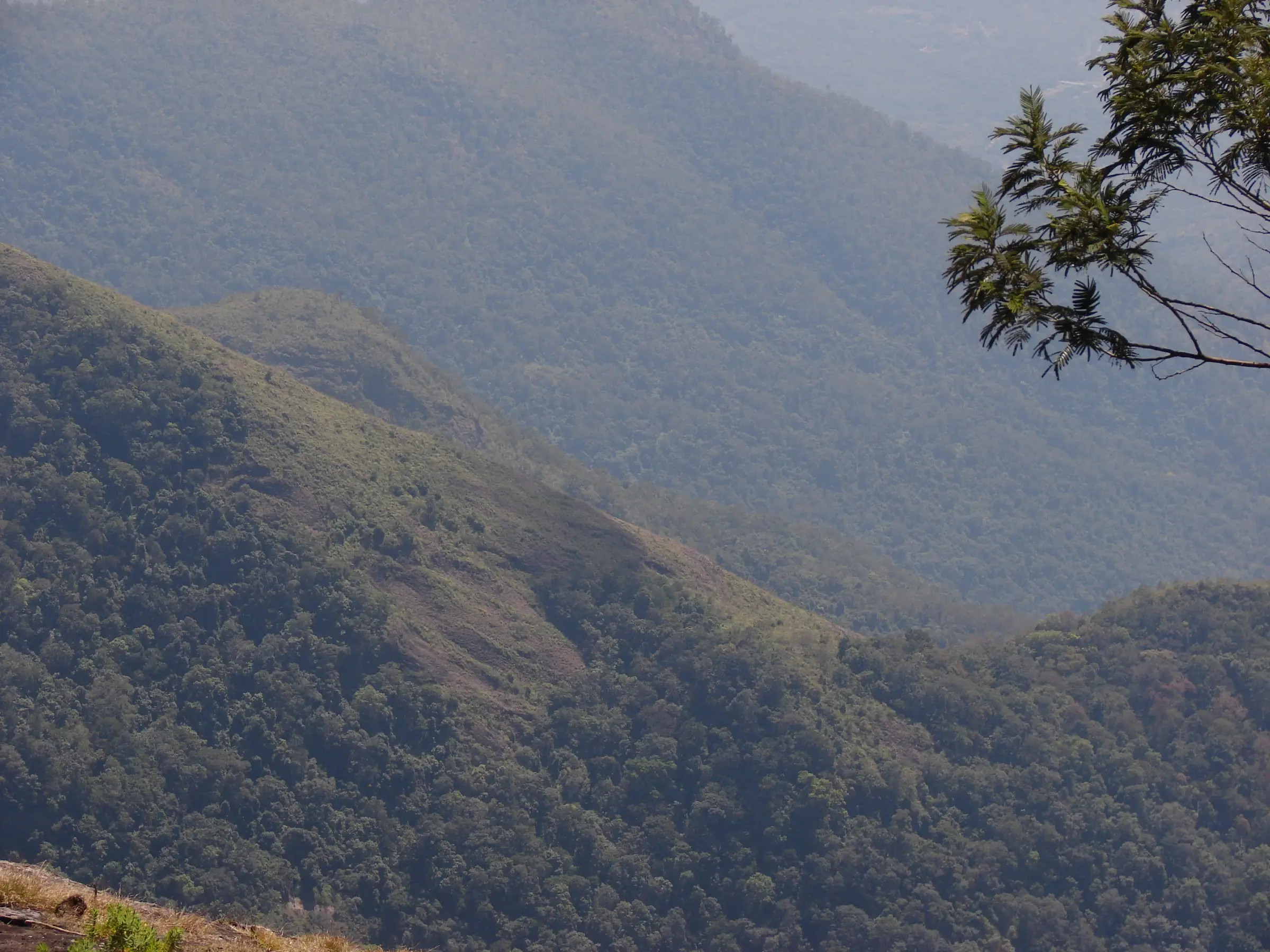 View of the forested hills around Khandala in the dry season, near the trek