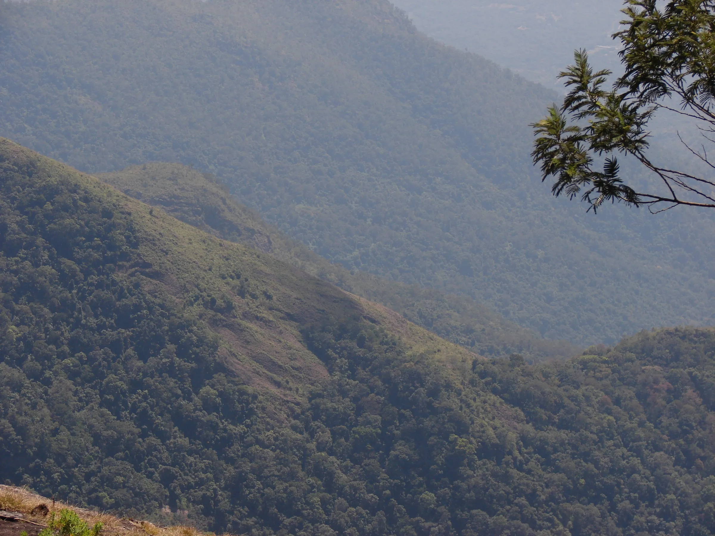View of the forested hills around Khandala in the dry season, near the trek