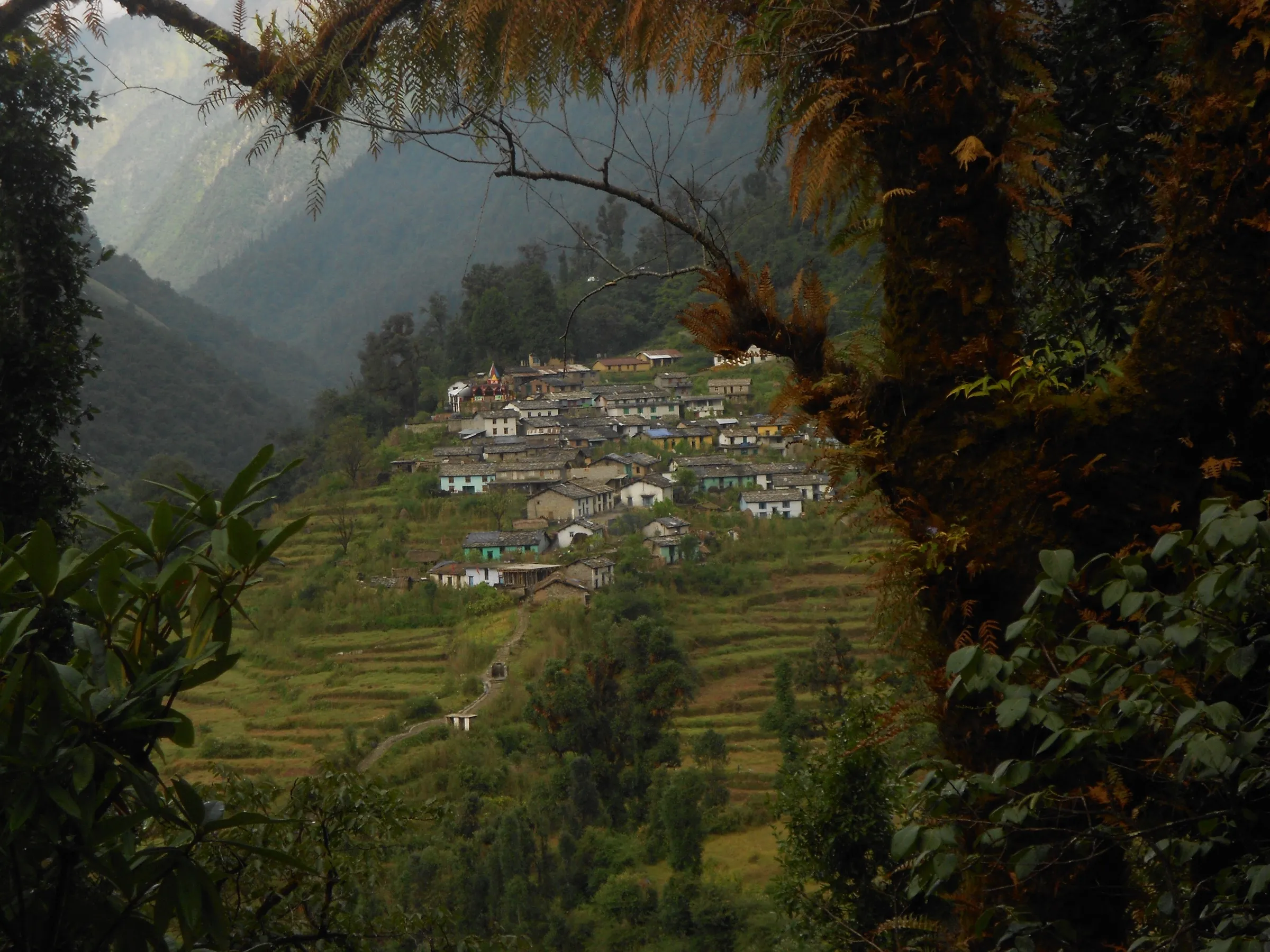 Khati village on its terraced hillside, the start and end point of the Bajling Top walk, framed by forest