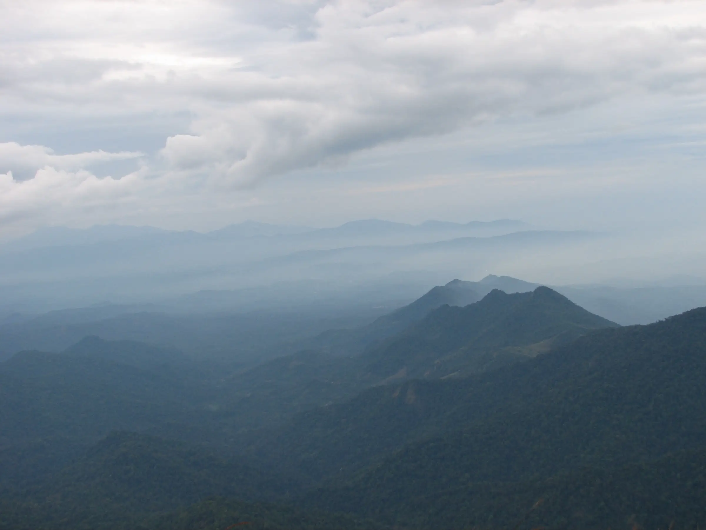 Misty forested ridges of the Kodagu hills seen from the top of Thadiyandamol, near the Nelji trek