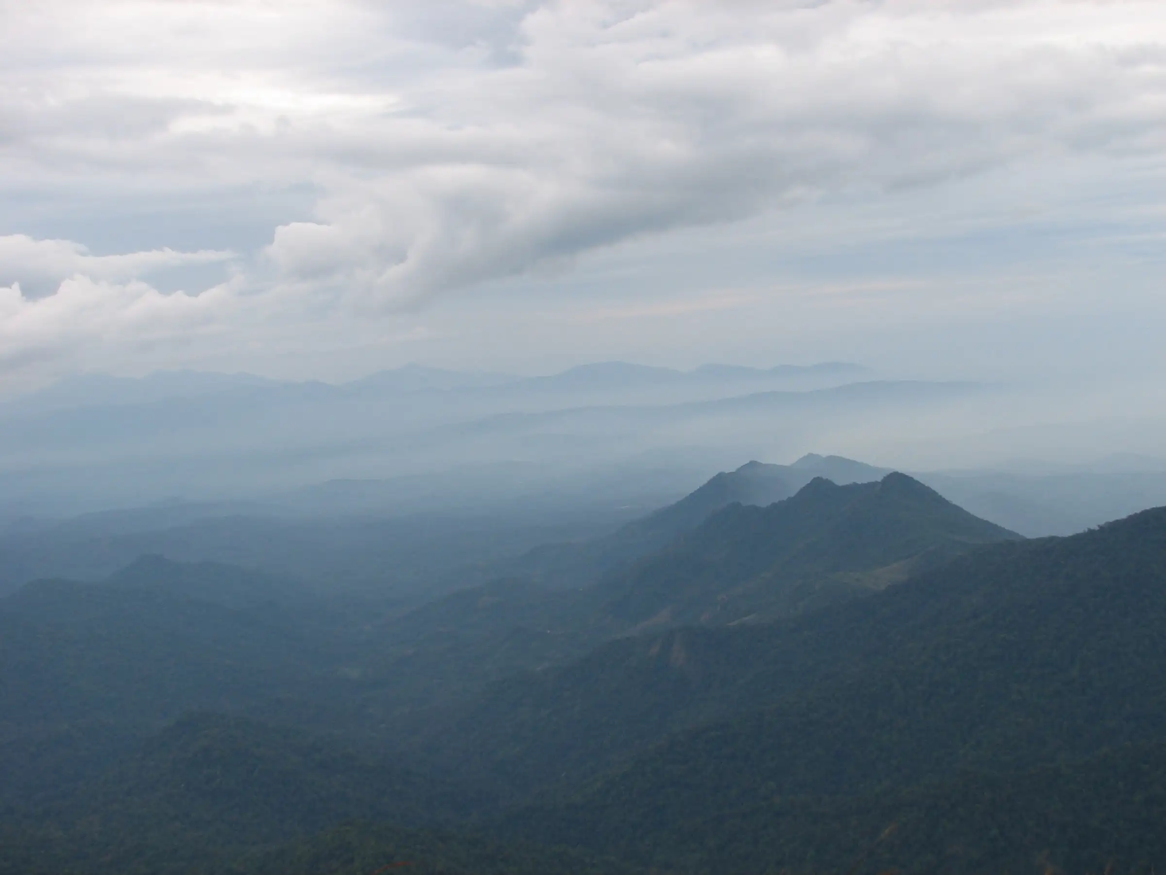 Misty forested ridges of the Kodagu hills seen from the top of Thadiyandamol, near the Nelji trek