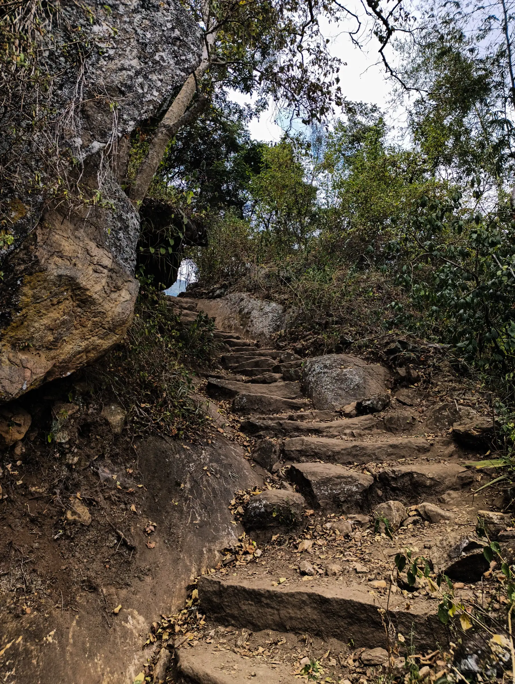 Rough stone steps through dry forest on the Kumbakarai side of the trail to Vellagavi