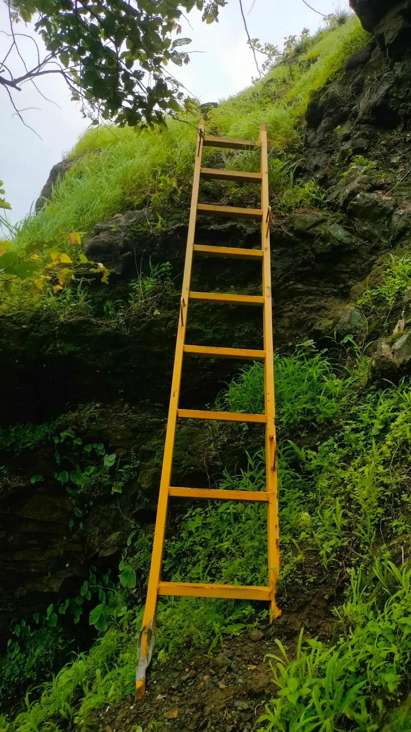 Yellow iron ladder fixed against a mossy rock step on the climb to Sankshi Fort