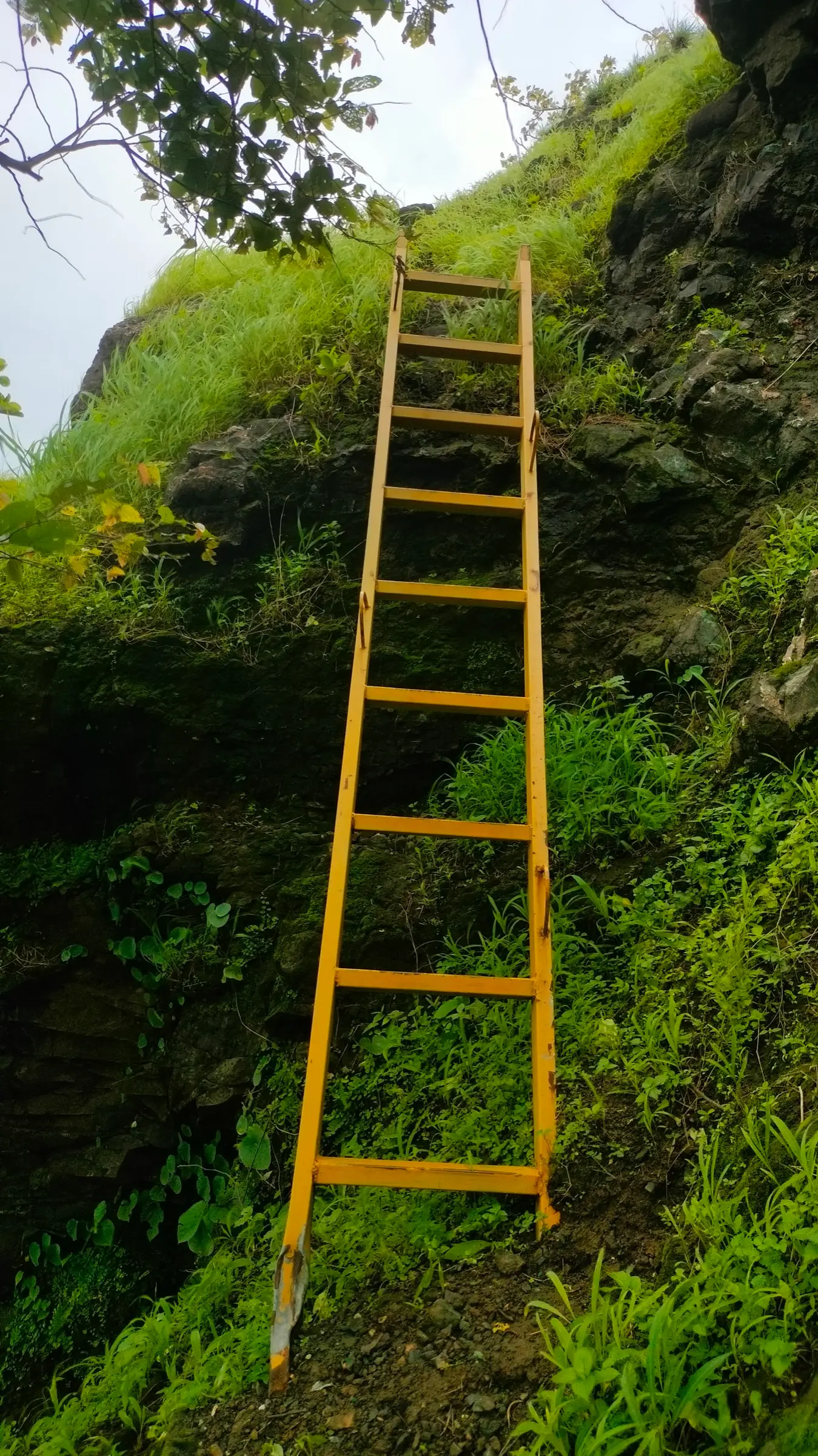Yellow iron ladder fixed against a mossy rock step on the climb to Sankshi Fort