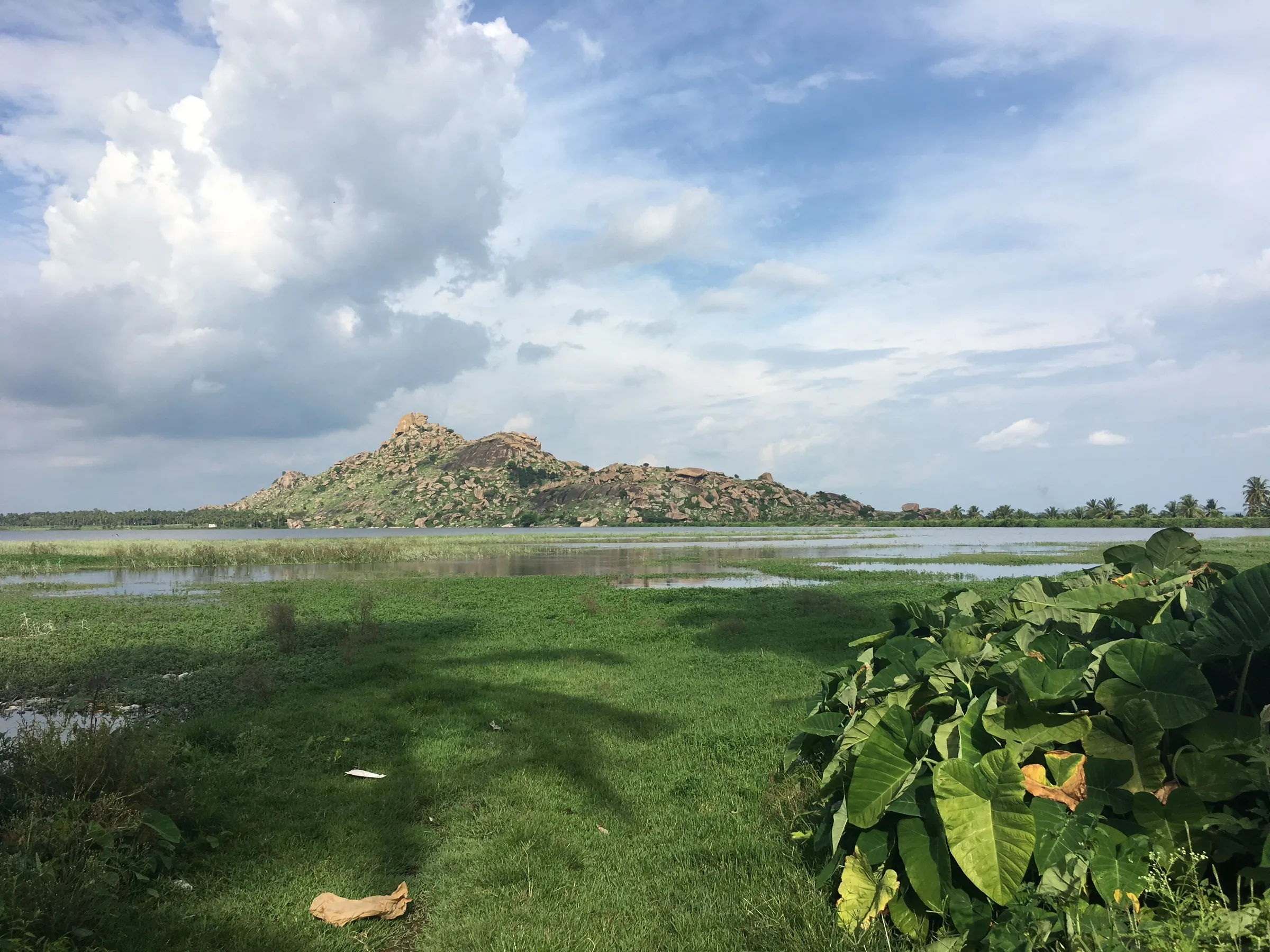 Rocky Kunti Betta hill rising beyond the Pandavapura lake and green marsh under a cloudy blue sky