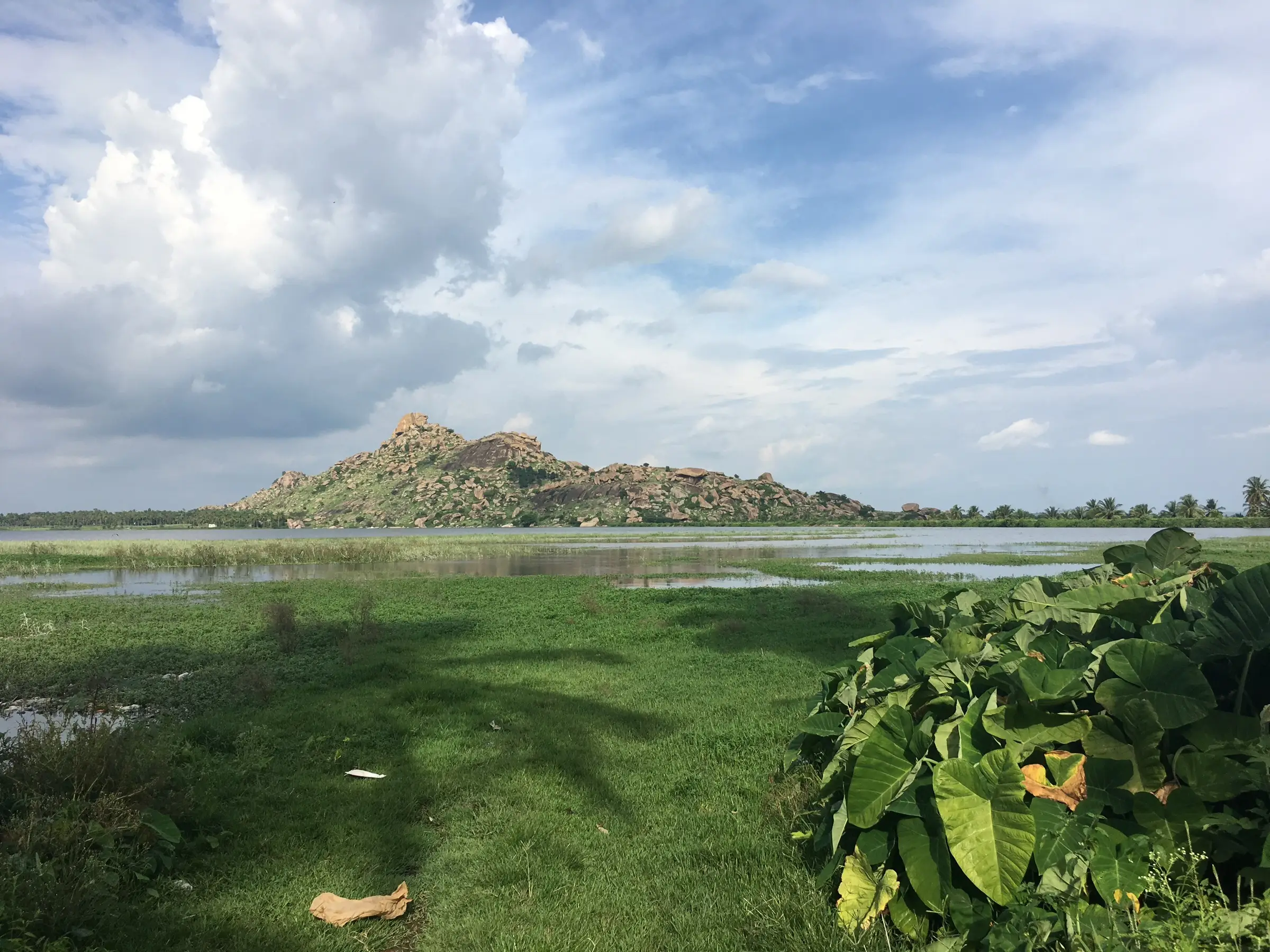 Rocky Kunti Betta hill rising beyond the Pandavapura lake and green marsh under a cloudy blue sky