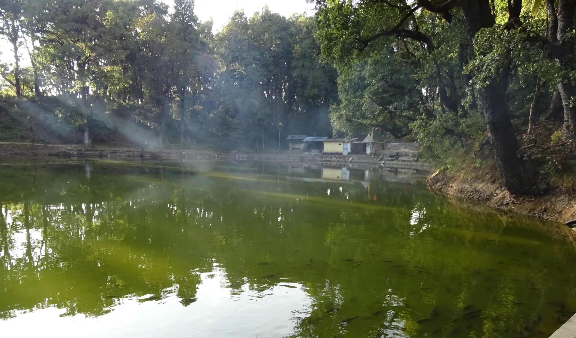 Green waters of Nachiketa Tal reflecting dense oak forest, with mist drifting over the lake and small shrine buildings on the far shore